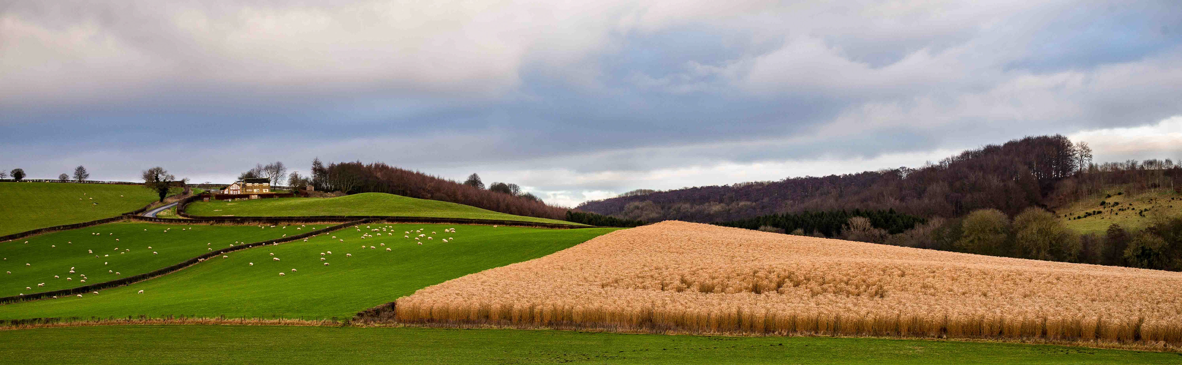Landscape near Brandsby - North Yorkshire UK 2018