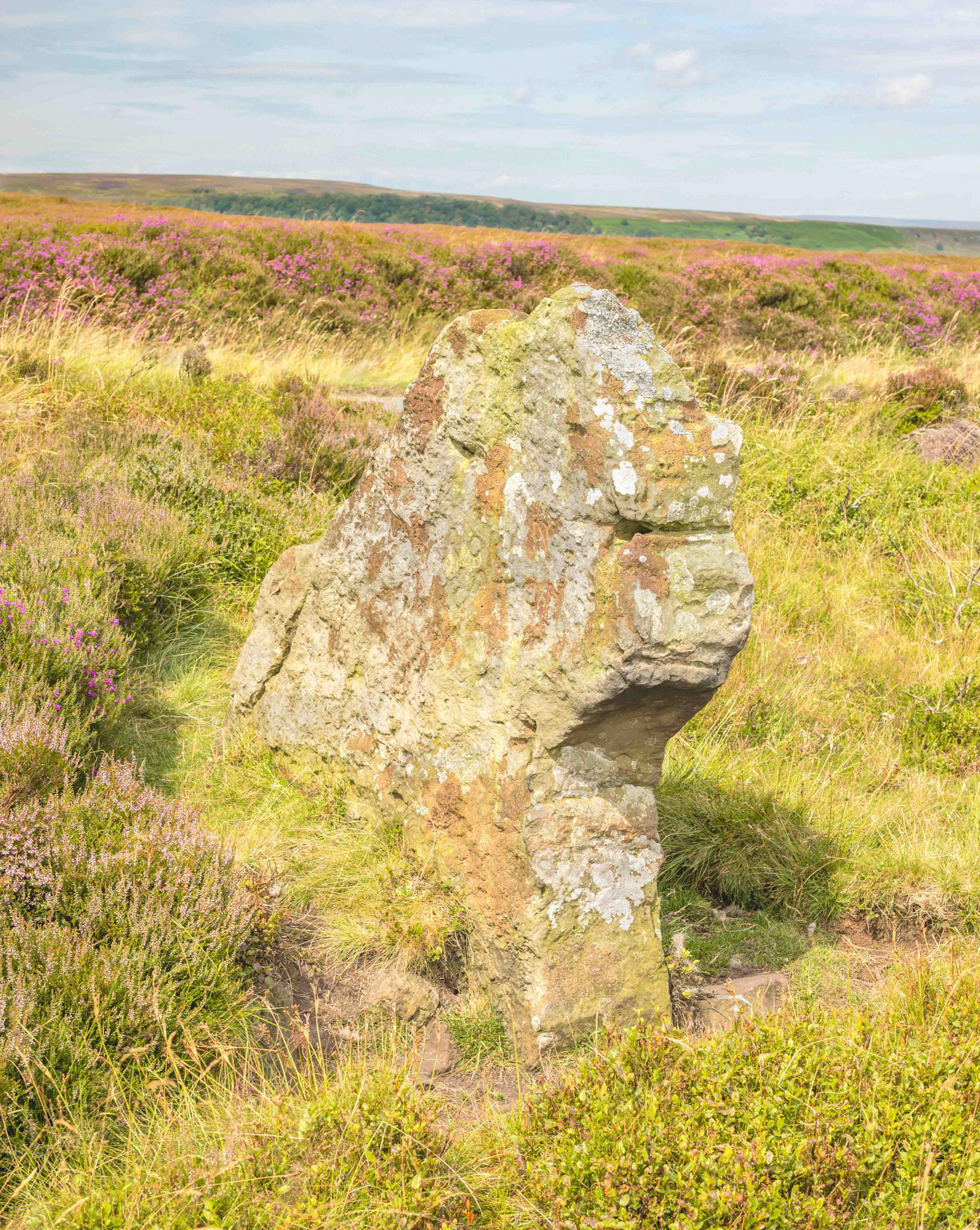 Rokan Stone from below - Glaisdale Rigg North York Moors UK 2024