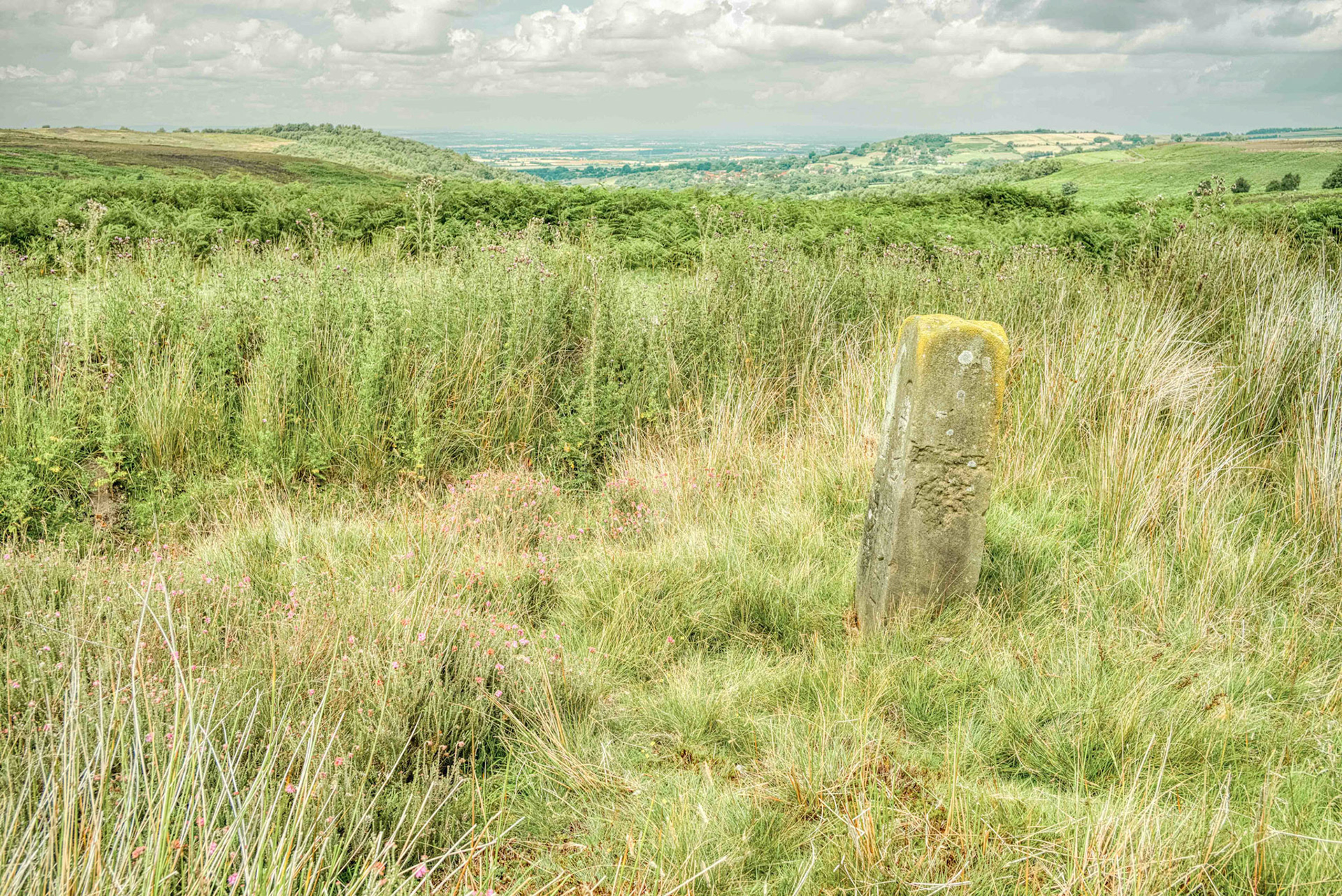 Cray Hall Stone at Oakdale Head Looking West - North York Moors UK 2023