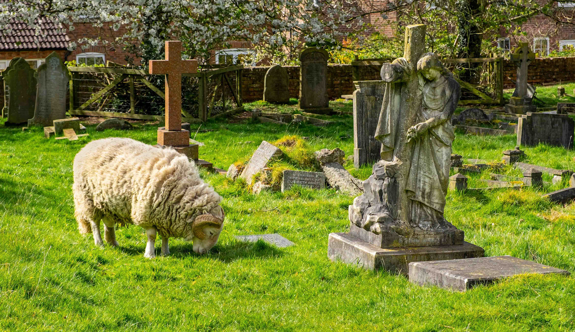 Lunch - North Yorkshire UK 2020