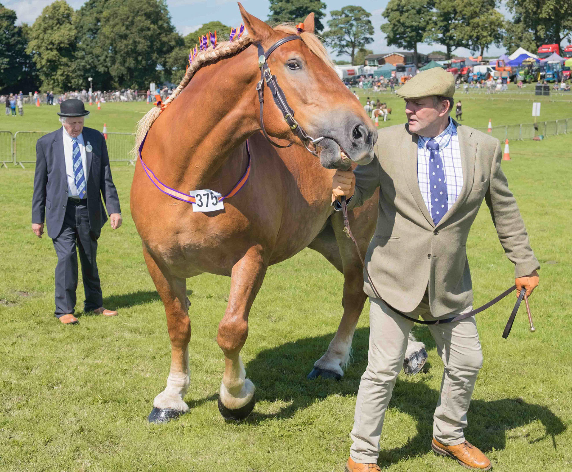 Horse Show - County Durham 2024
