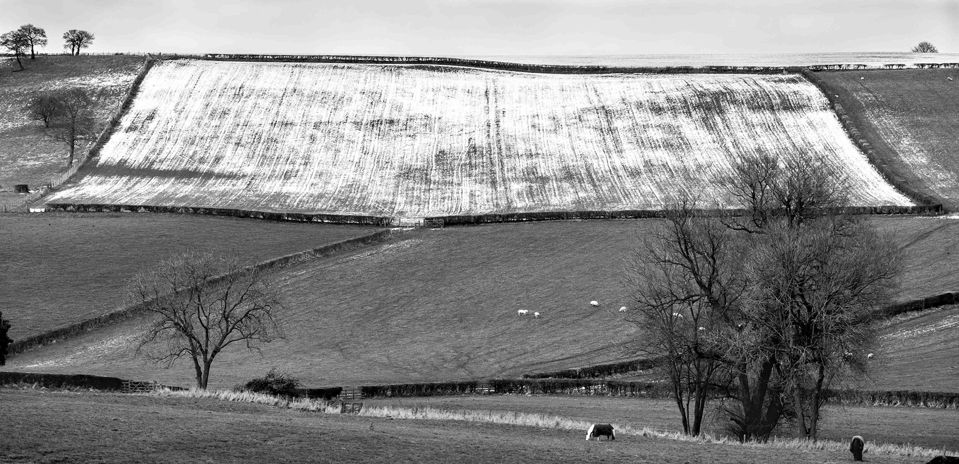 Landscape nr Brandsby - North Yorkshire UK 2017