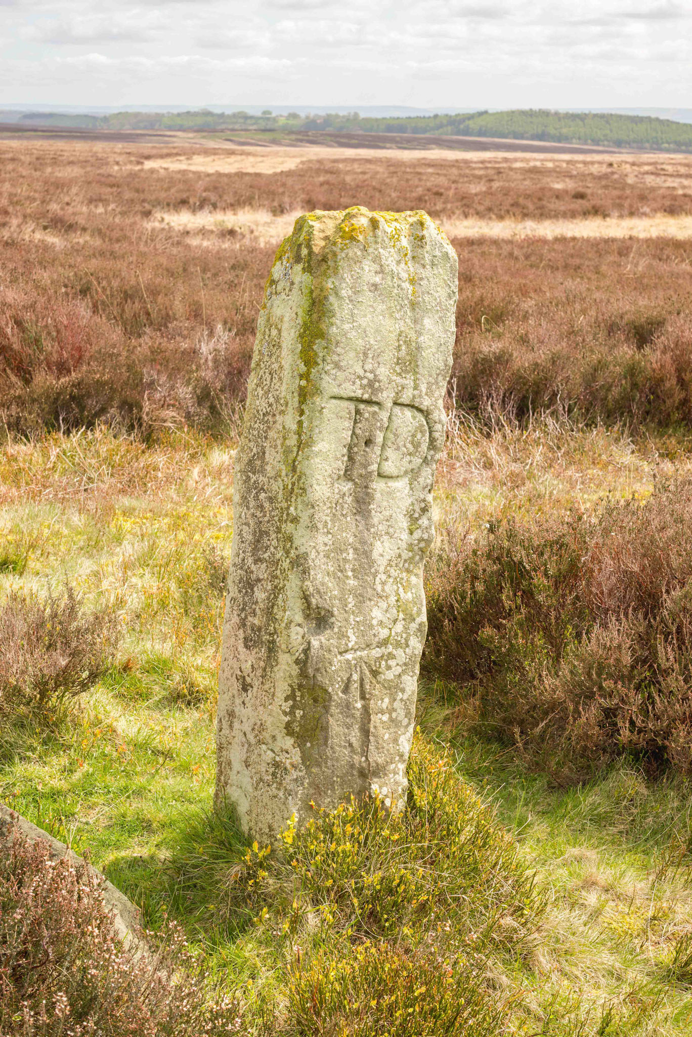 Blakey Road South Marker Stone BS1 West Face - North York Moors UK 2024