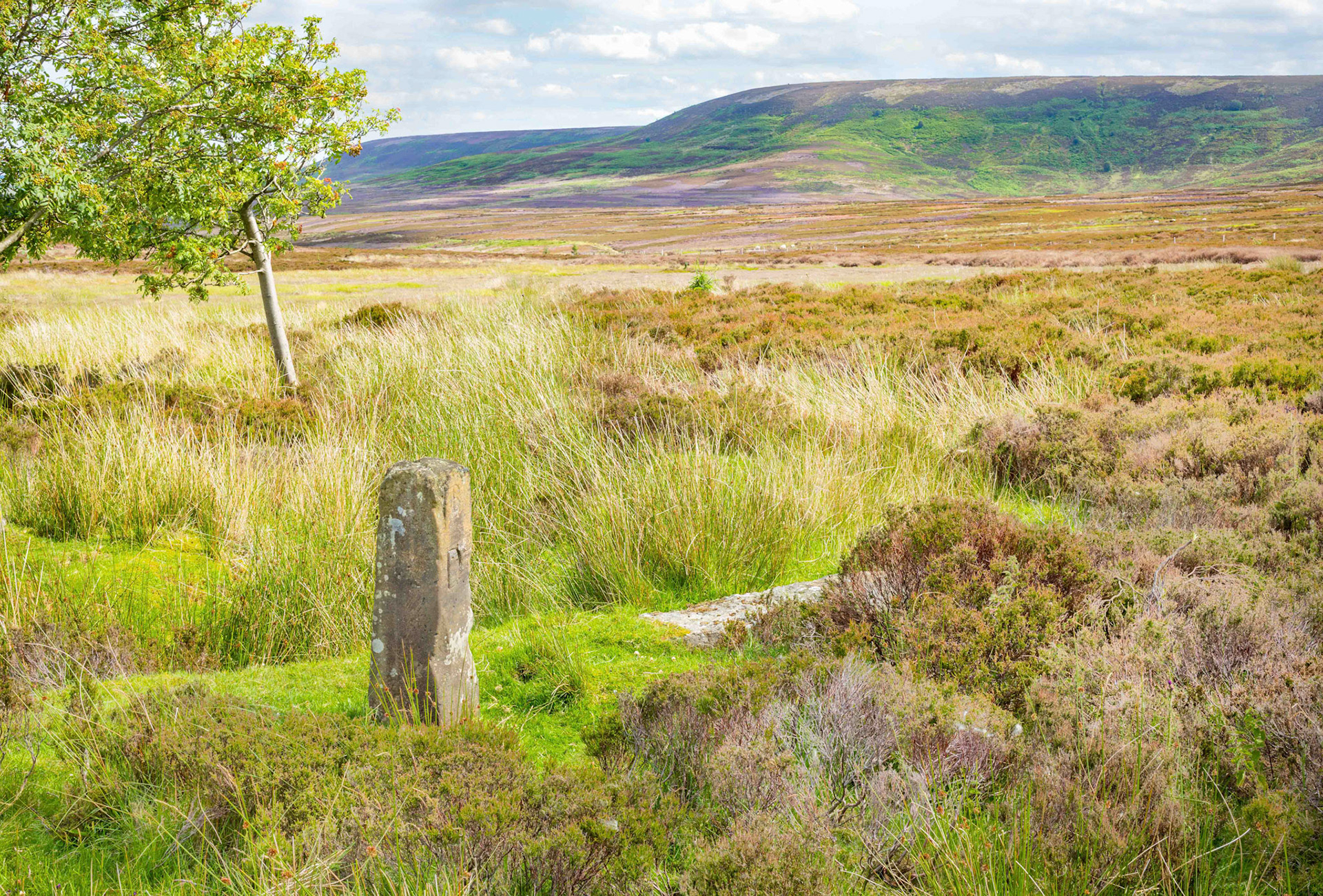 Robinsons Cross - North York Moors UK 2020