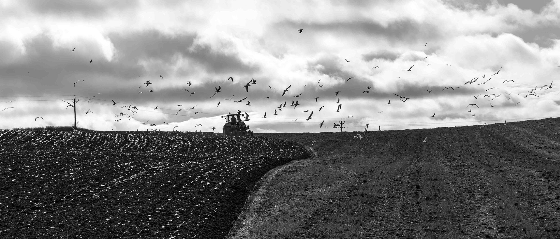 Ploughing - Nr Aldborogh North Yorkshire UK 2014