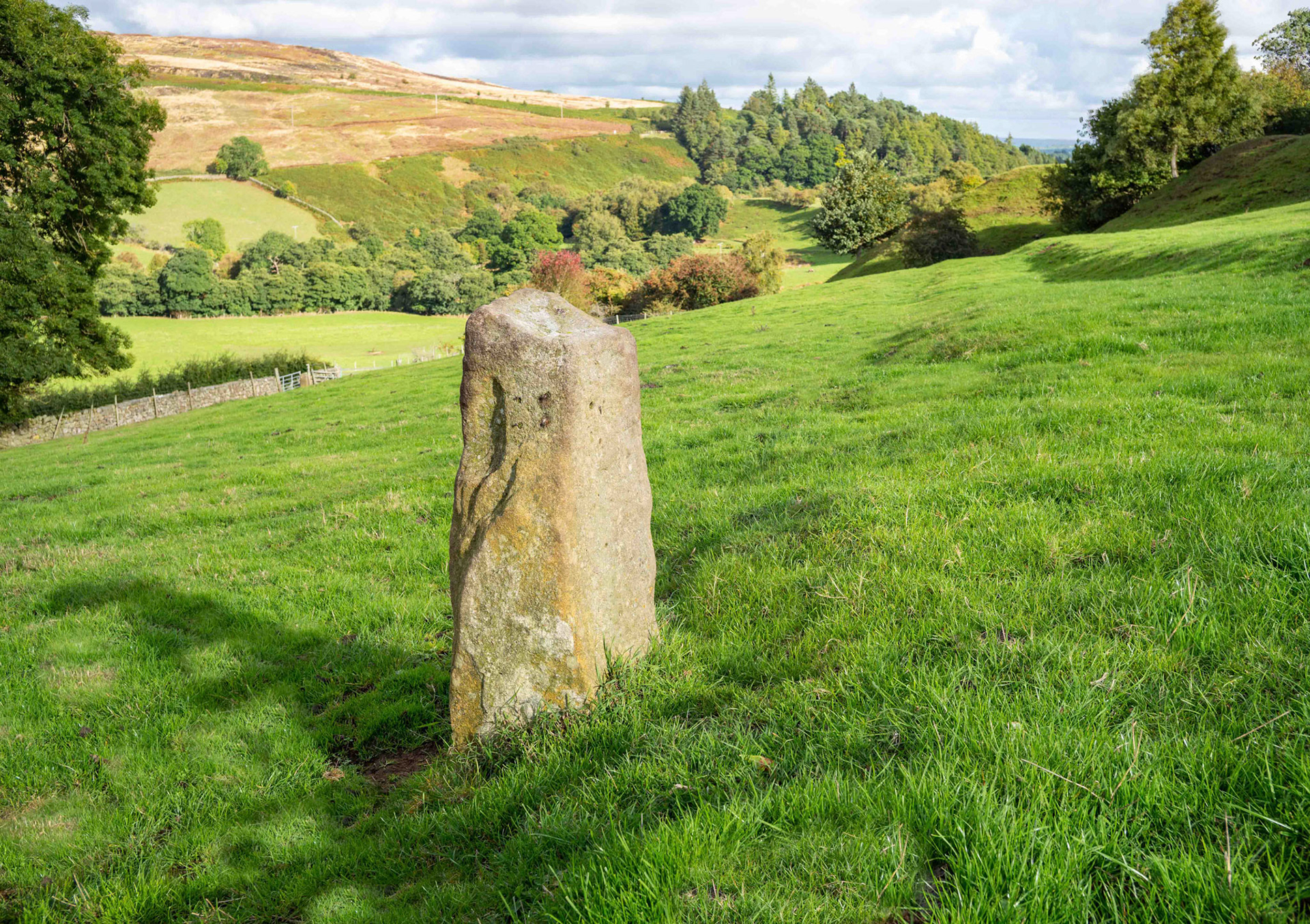 Scale Cross - North York Moors 2022