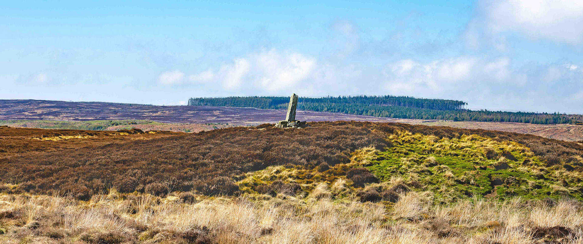 Hob Cross - Distance View - North York Moors 2023