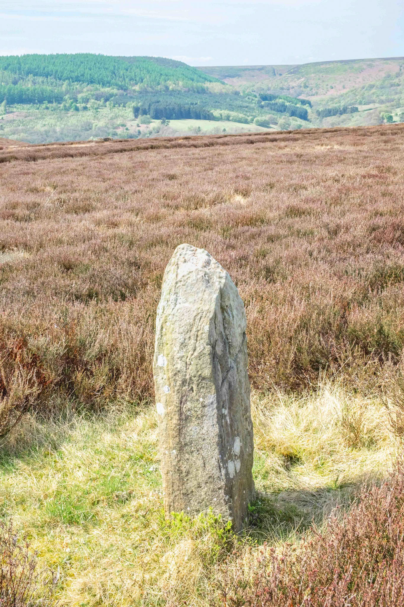 Long Hill Marker Stone on Hawnby Moor looking West - North York Moors UK