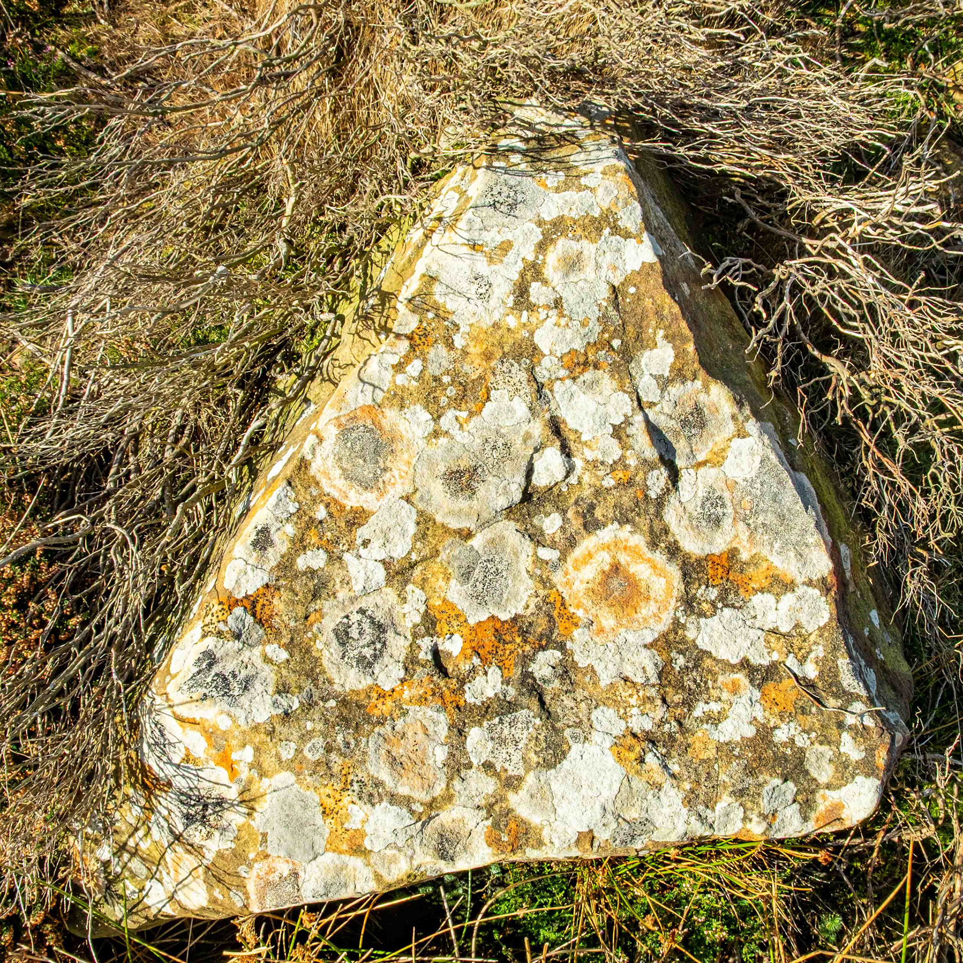 Rock Stains - North York Moors UK 2022