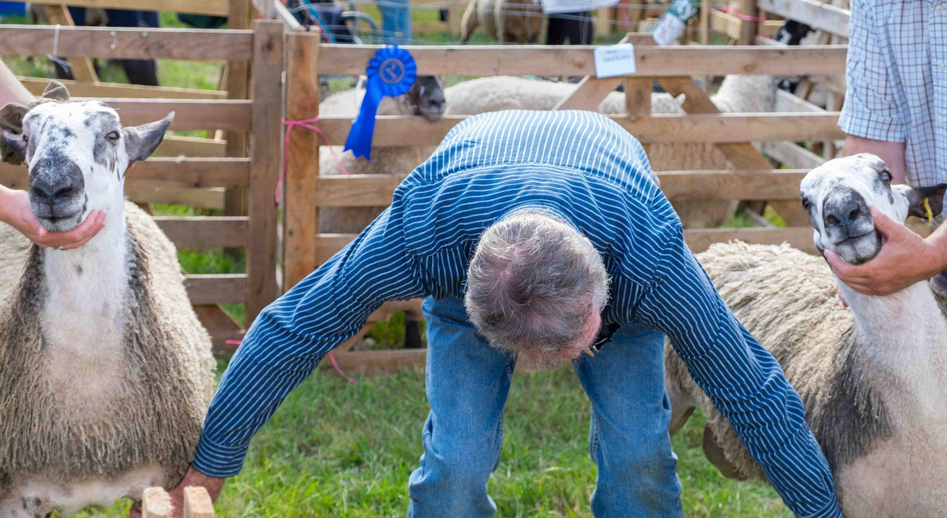 Leg Inspection - North Yorkshire UK