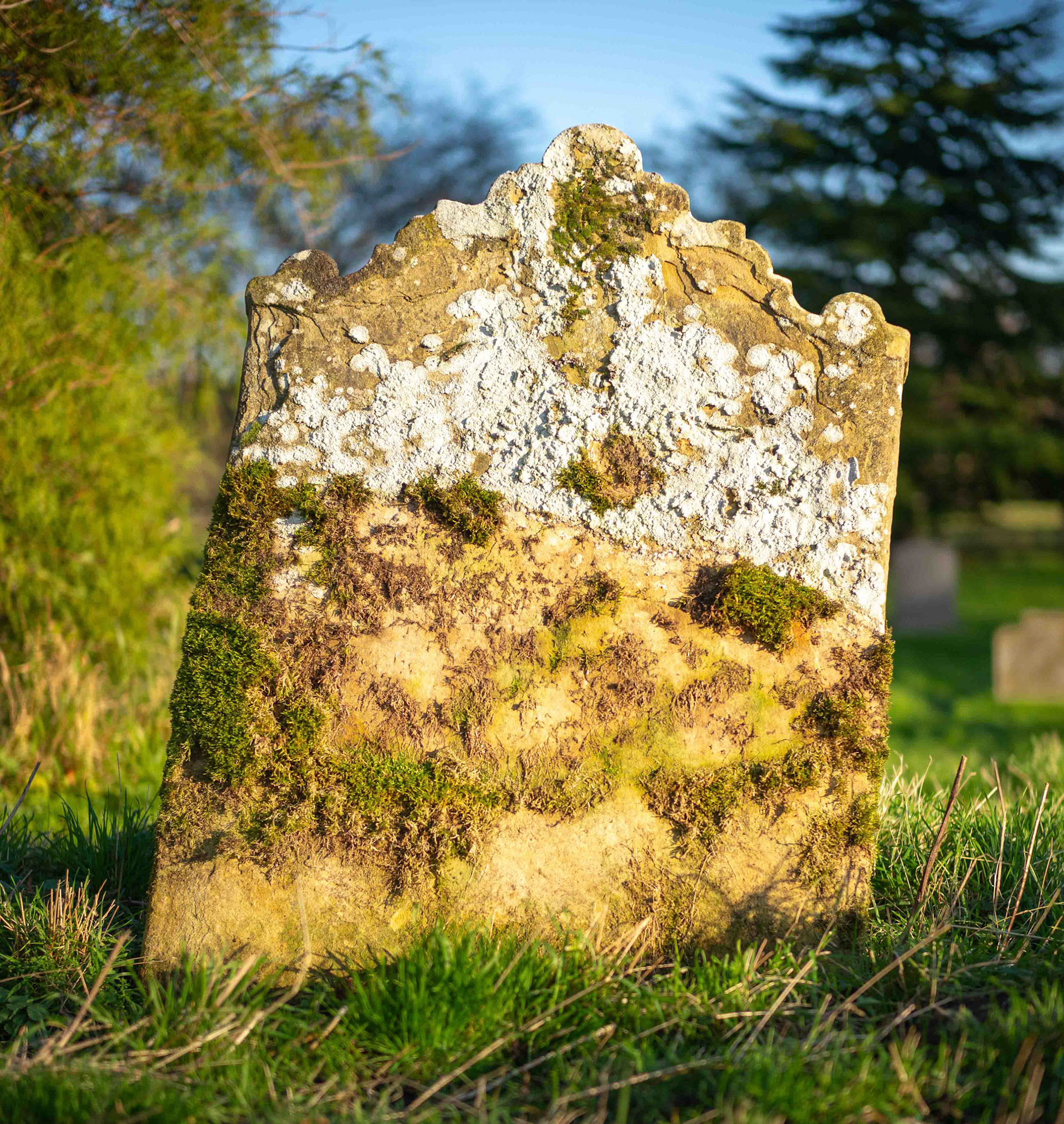 Gravestone - Thirkleby North Yorkshire 2018