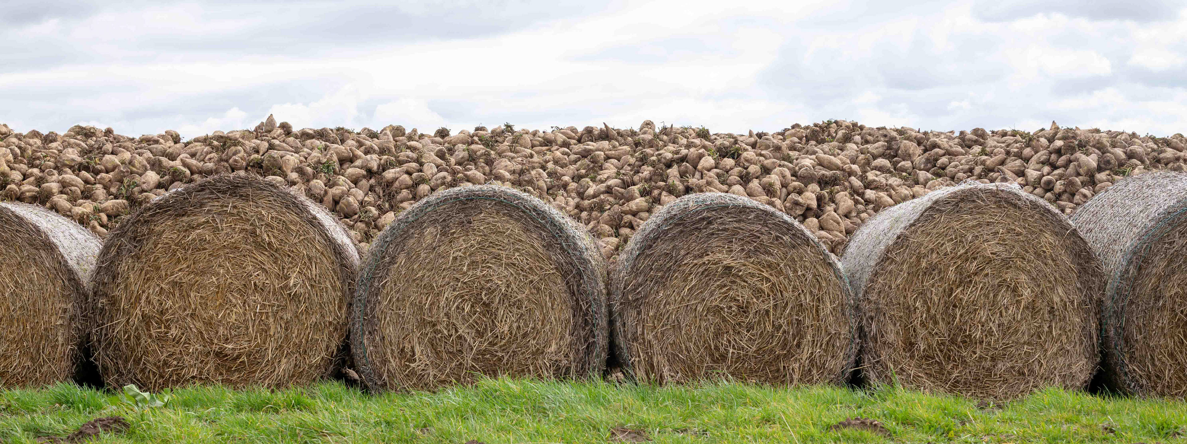 Landscape - North Yorkshire UK 2016