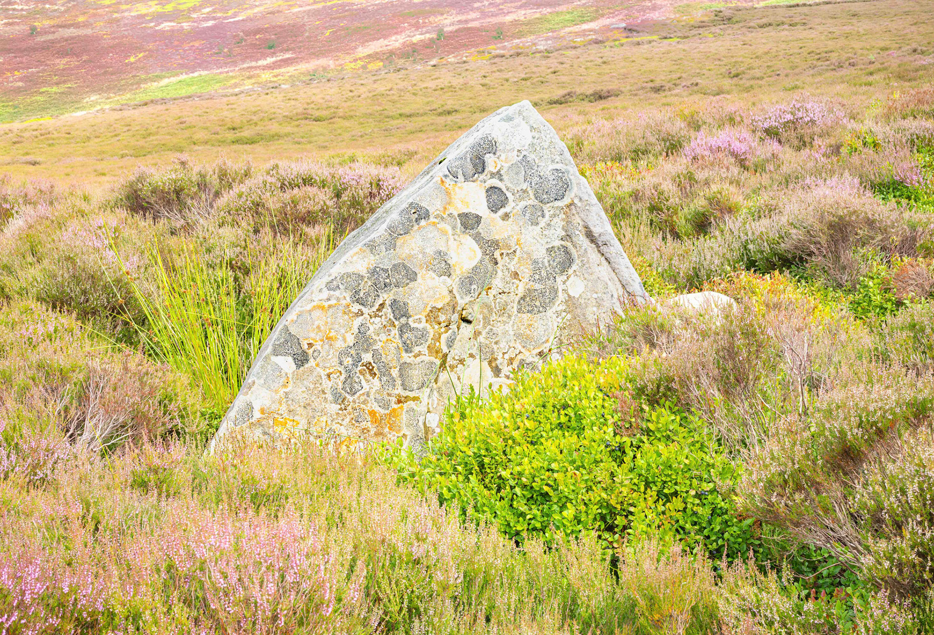 Rock at Stony Ridge - North York Moors UK 2023