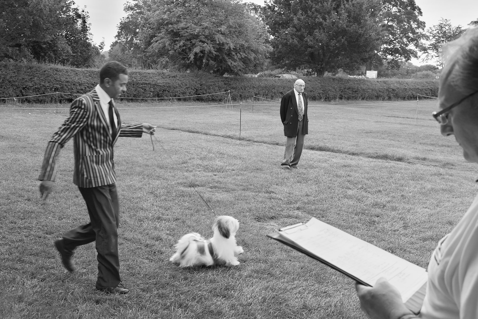 Dog Show - Ripon North Yorkshire UK