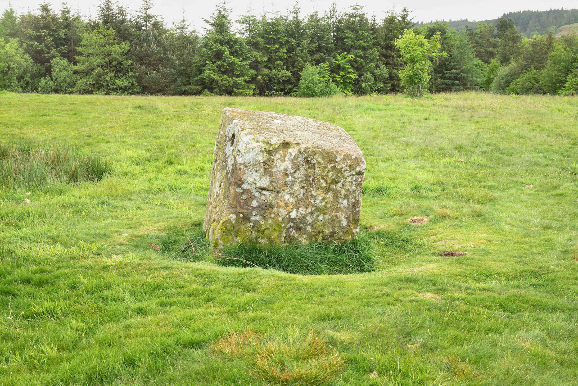 Hall Cliff Stone - North York Moors 2023