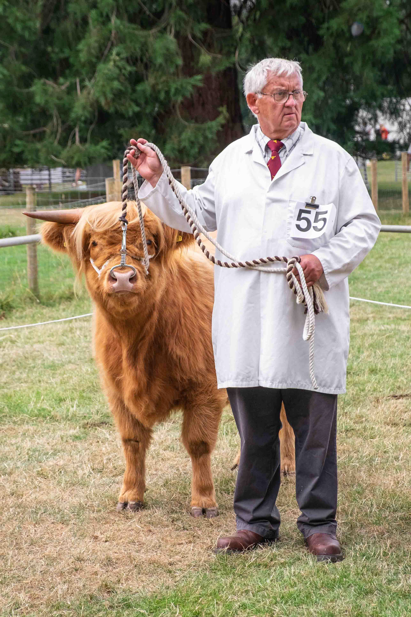 Man and Bull - North Yorkshure UK