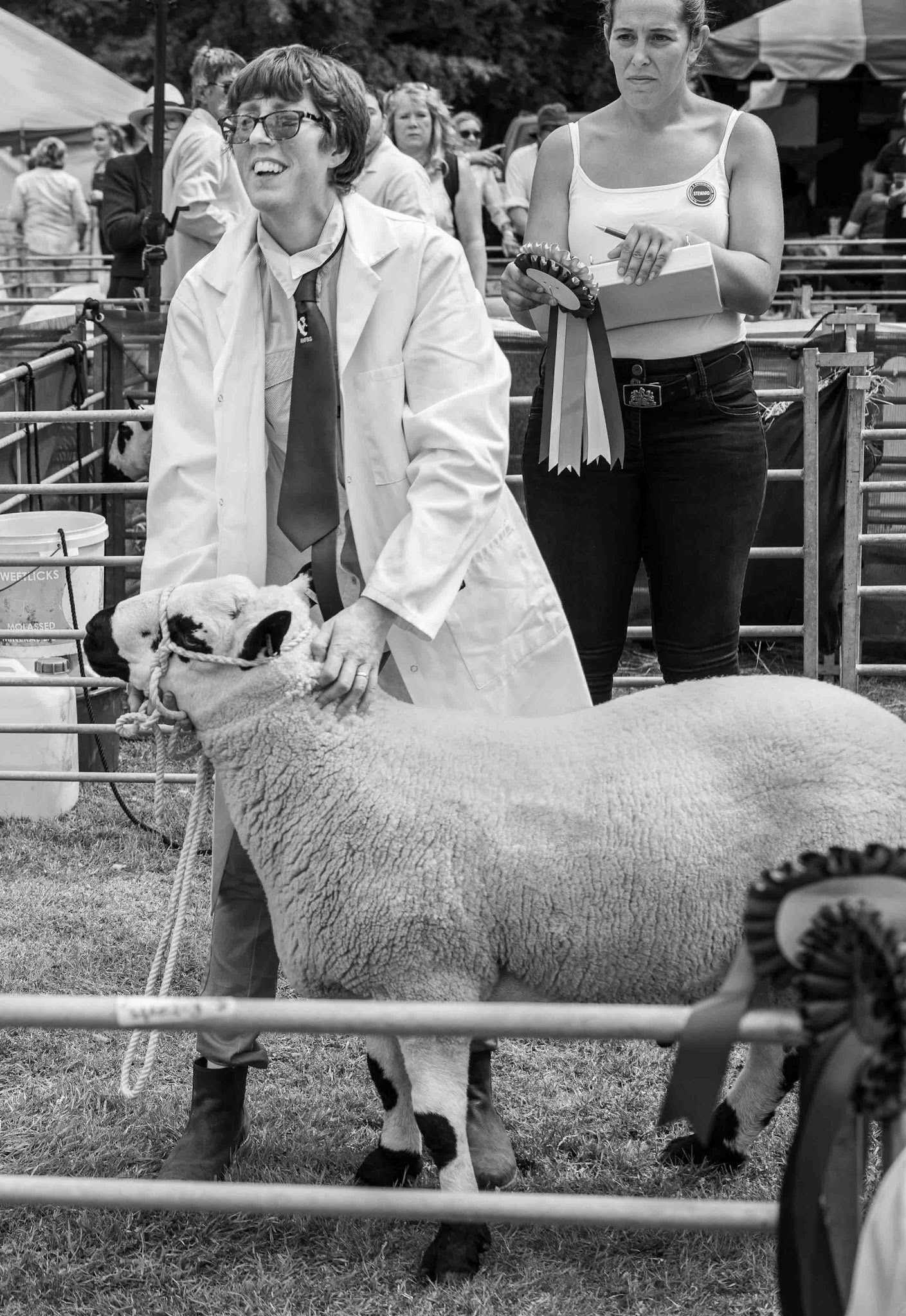 Winner at Sheep Show - North Yorkshire UK