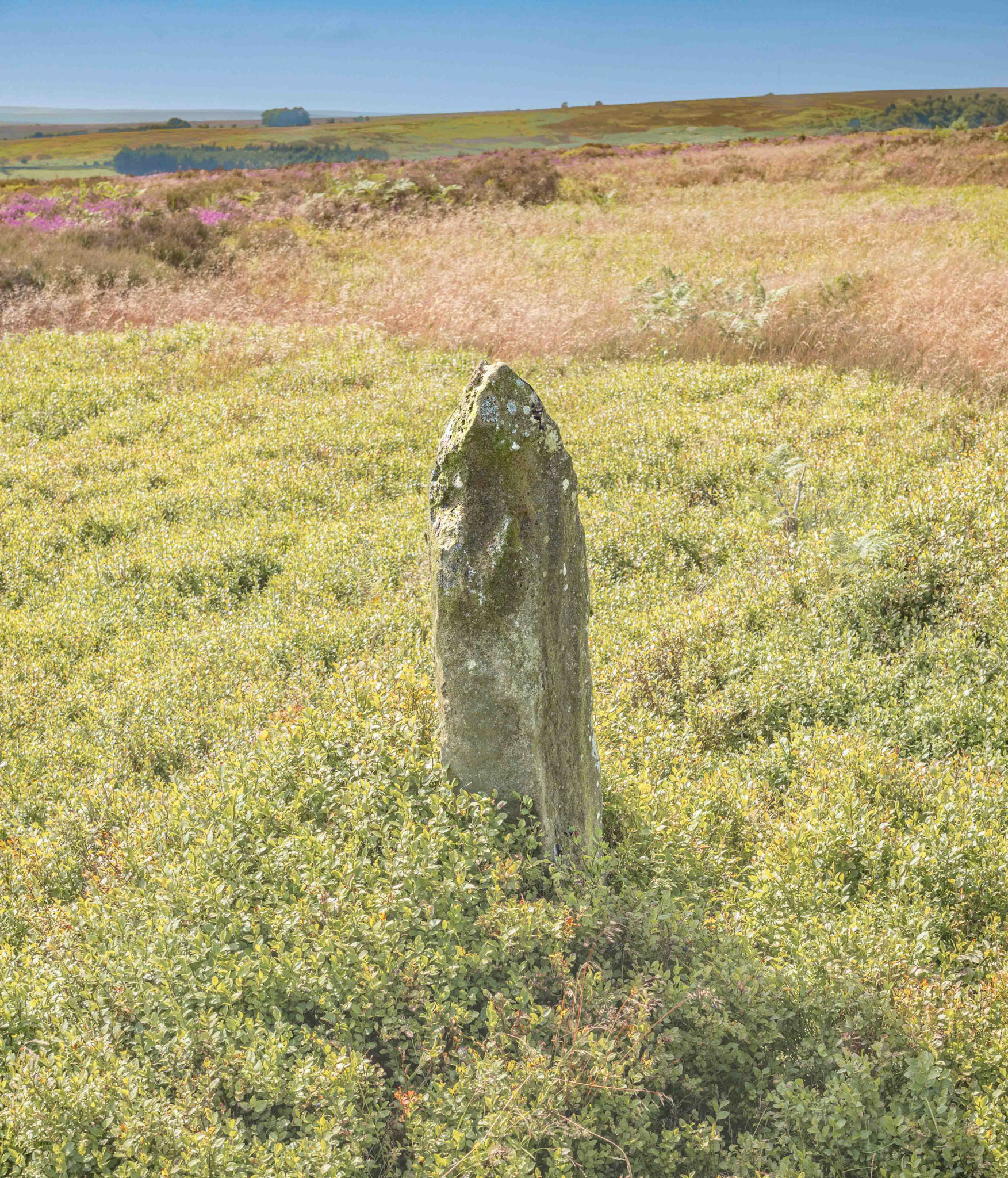 Pricket Thorn Stone looking North Westerly - North York Moors UK 2024