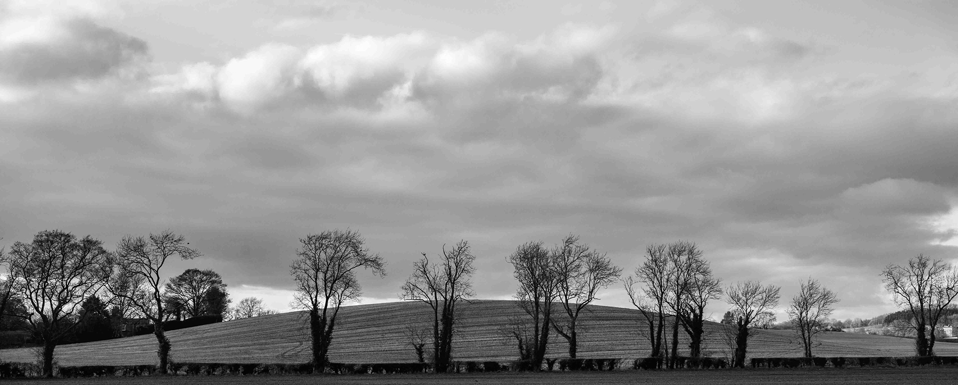 Landscape near Stearsby - North Yorkshire UK 2018