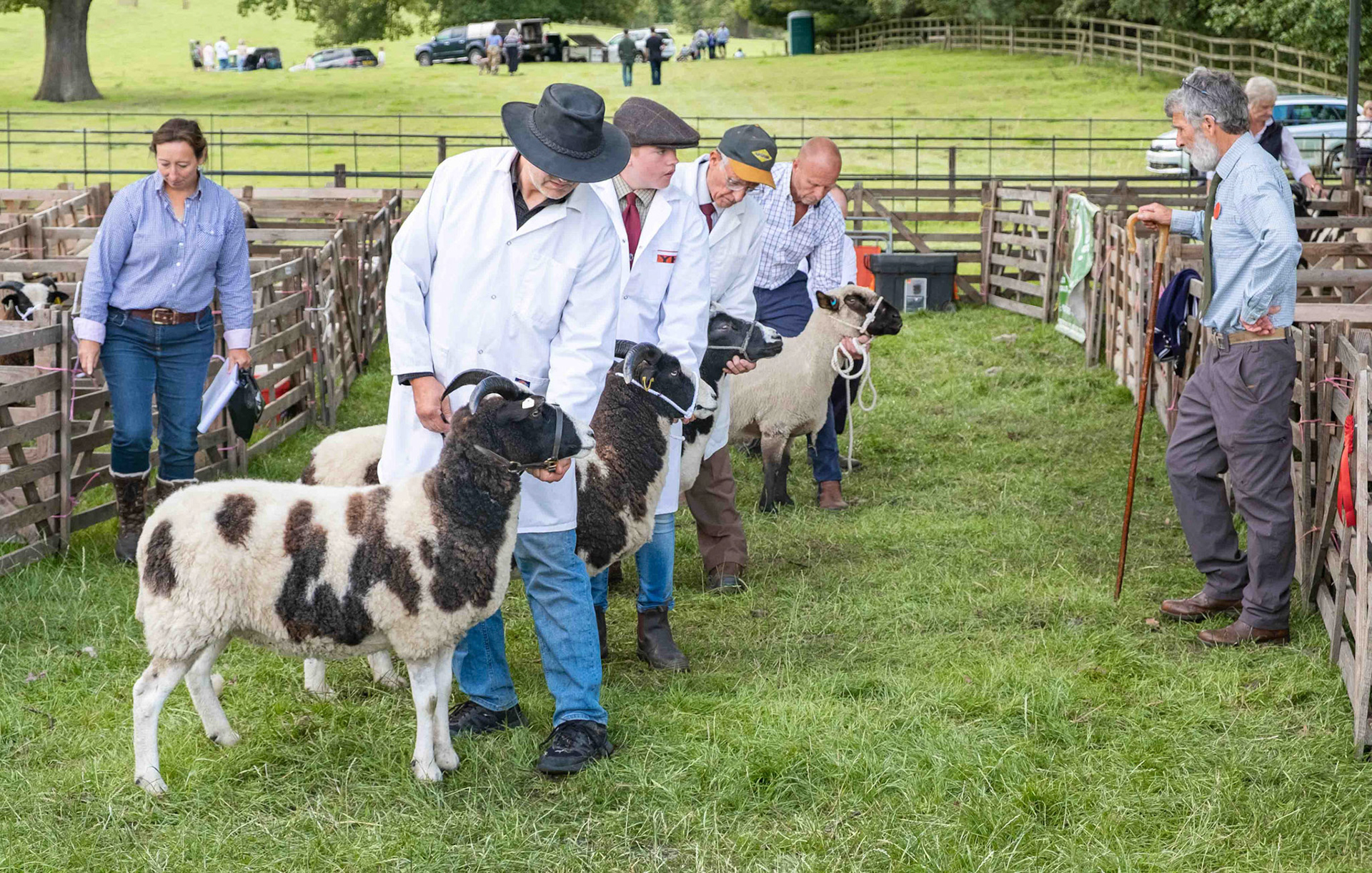 Judging at Otterington Show