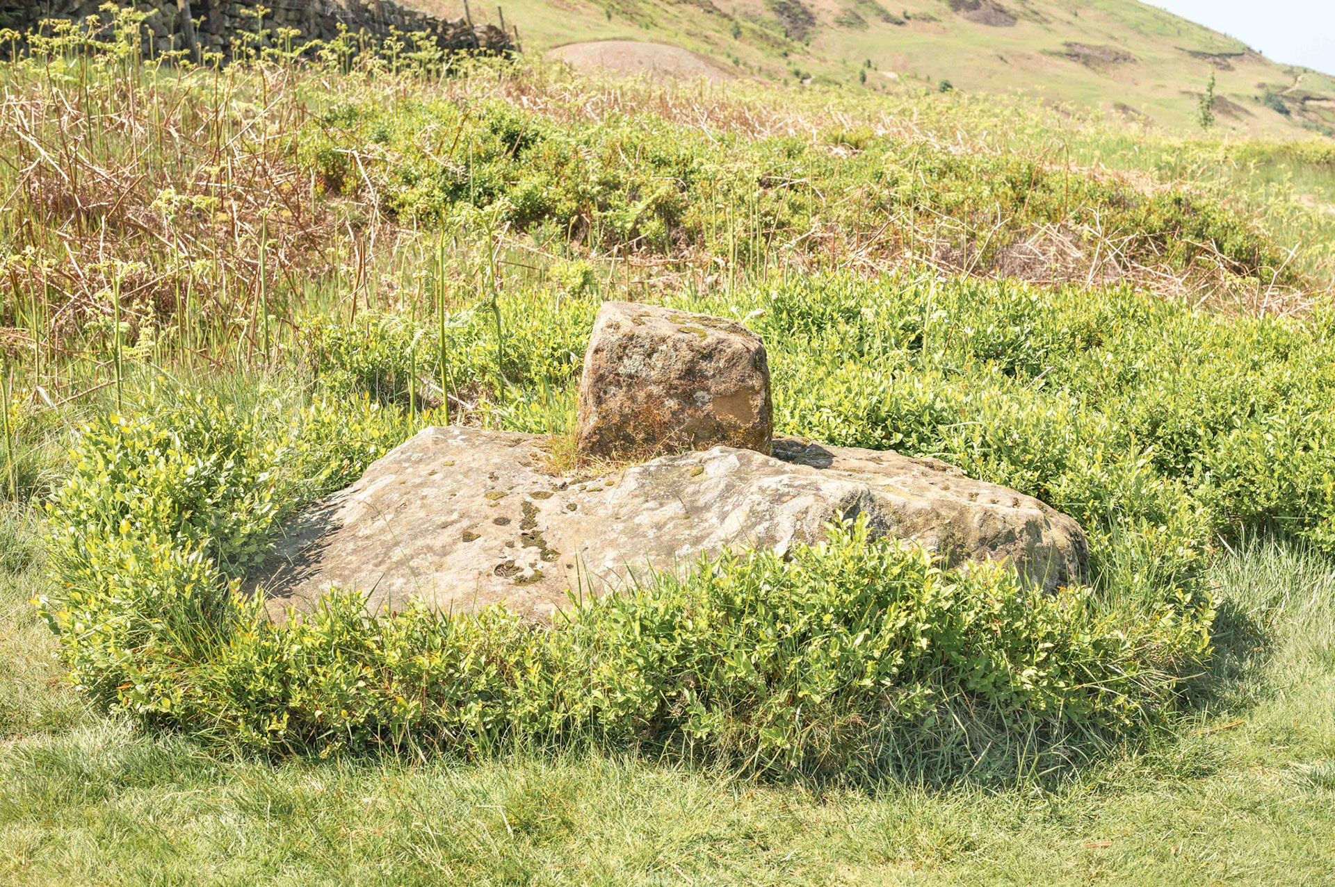 Donna Cross - North York Moors UK 2023