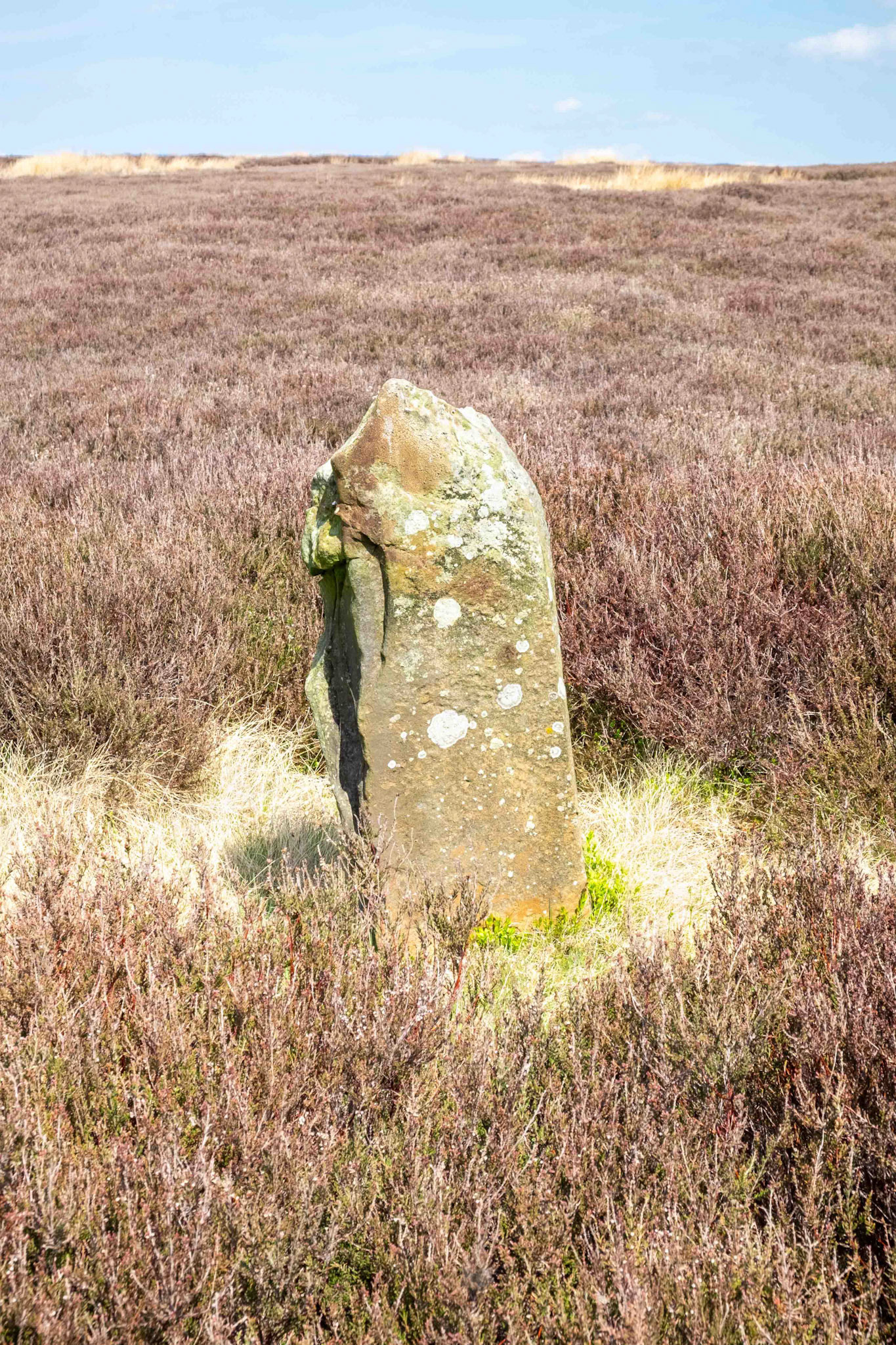 Long Hill Marker Stone on Hawnby Moor looking North - North York Moors UK
