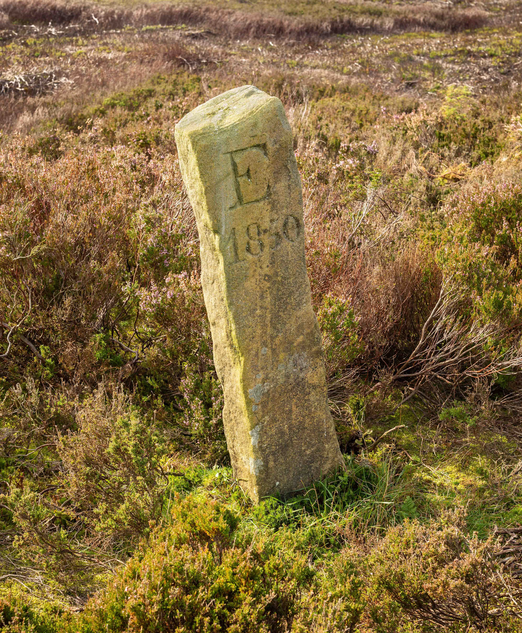 The Turnhill Stone - North York Moors UK 2020