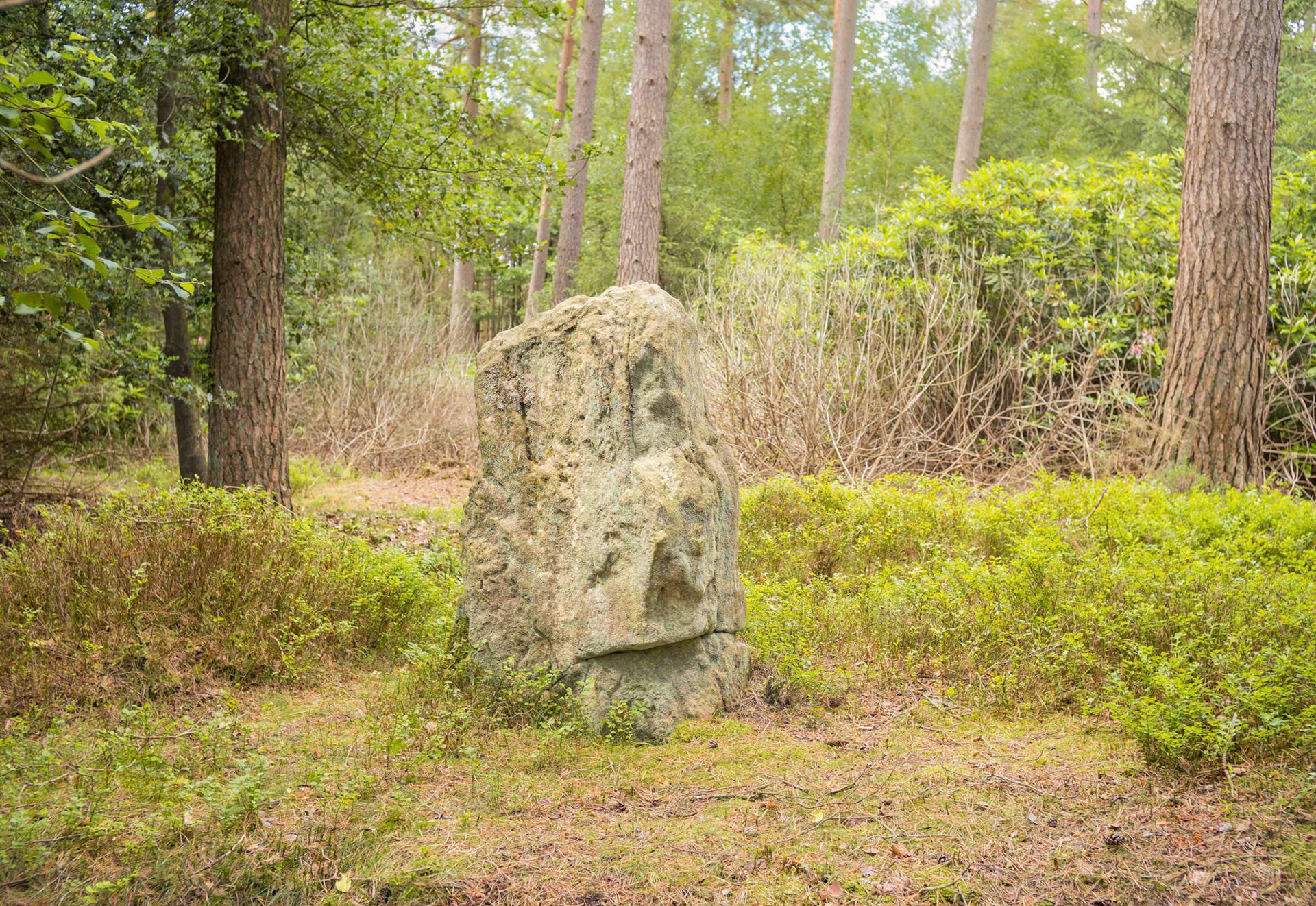 Black Park Standing Stone - North Yorkshire UK 2024