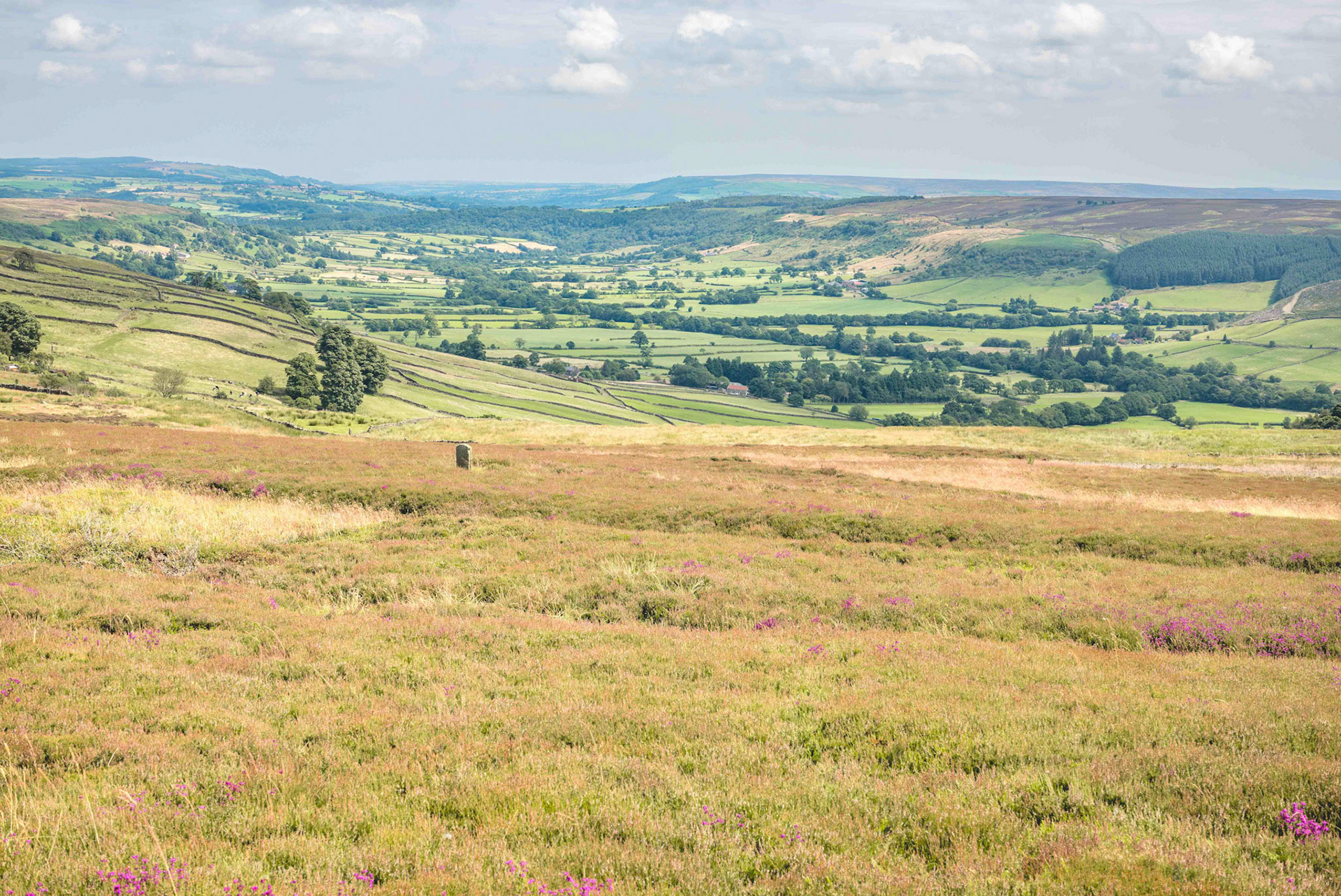 View from the Rokan Stone to Glaisdale Rigg and the Gravestone of GF Hall 1909-1998 - North York Moors UK 2024