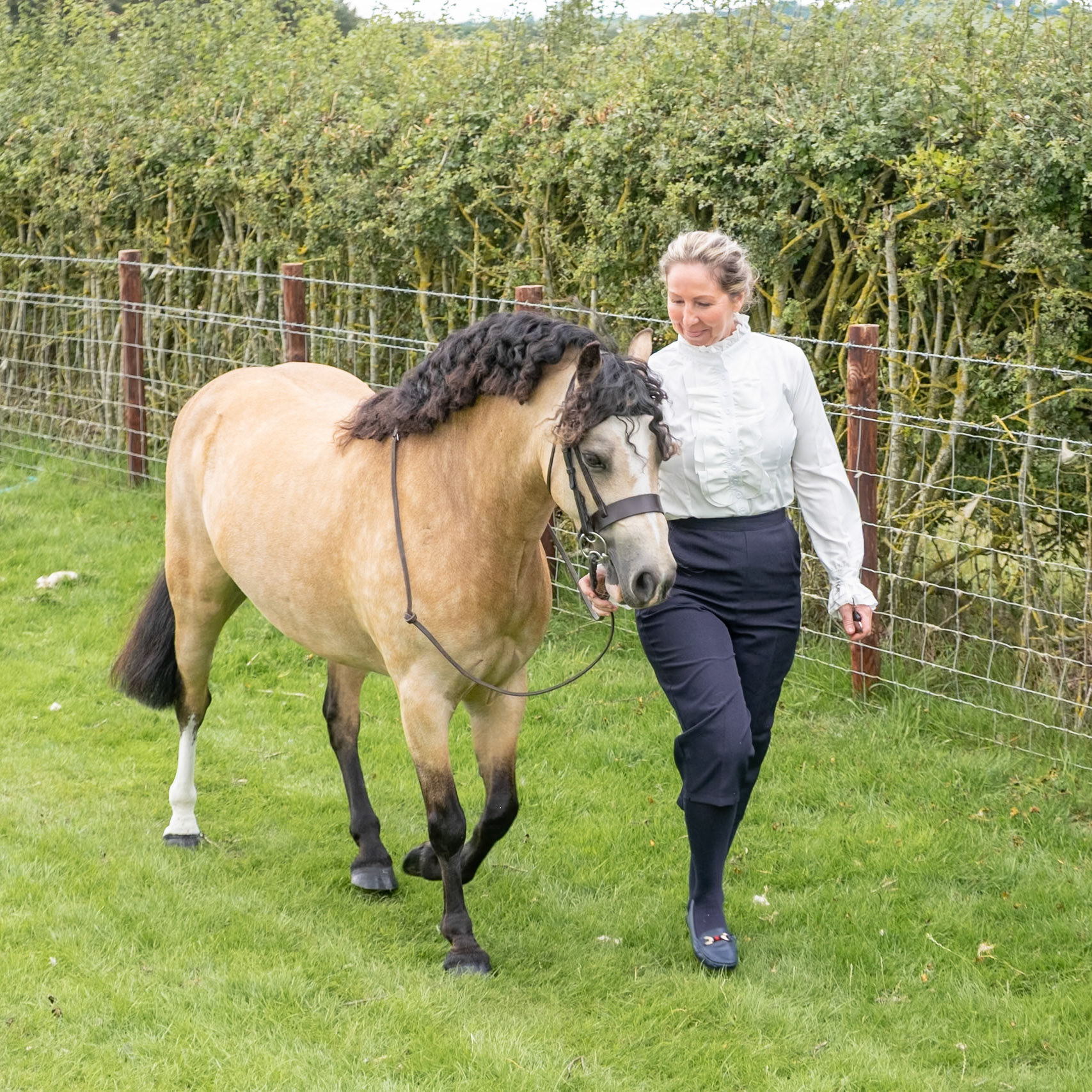 Horse and Rider at North Yorkshire Show - UK
