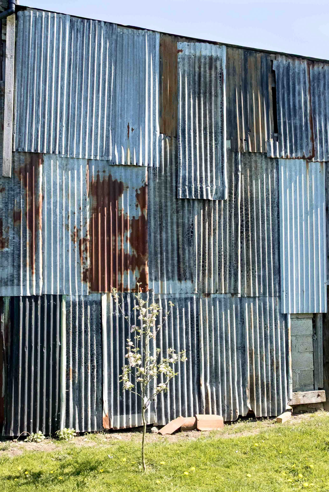 Barn and Tree - Thornton-le-Street North Yorkshire UK 2017