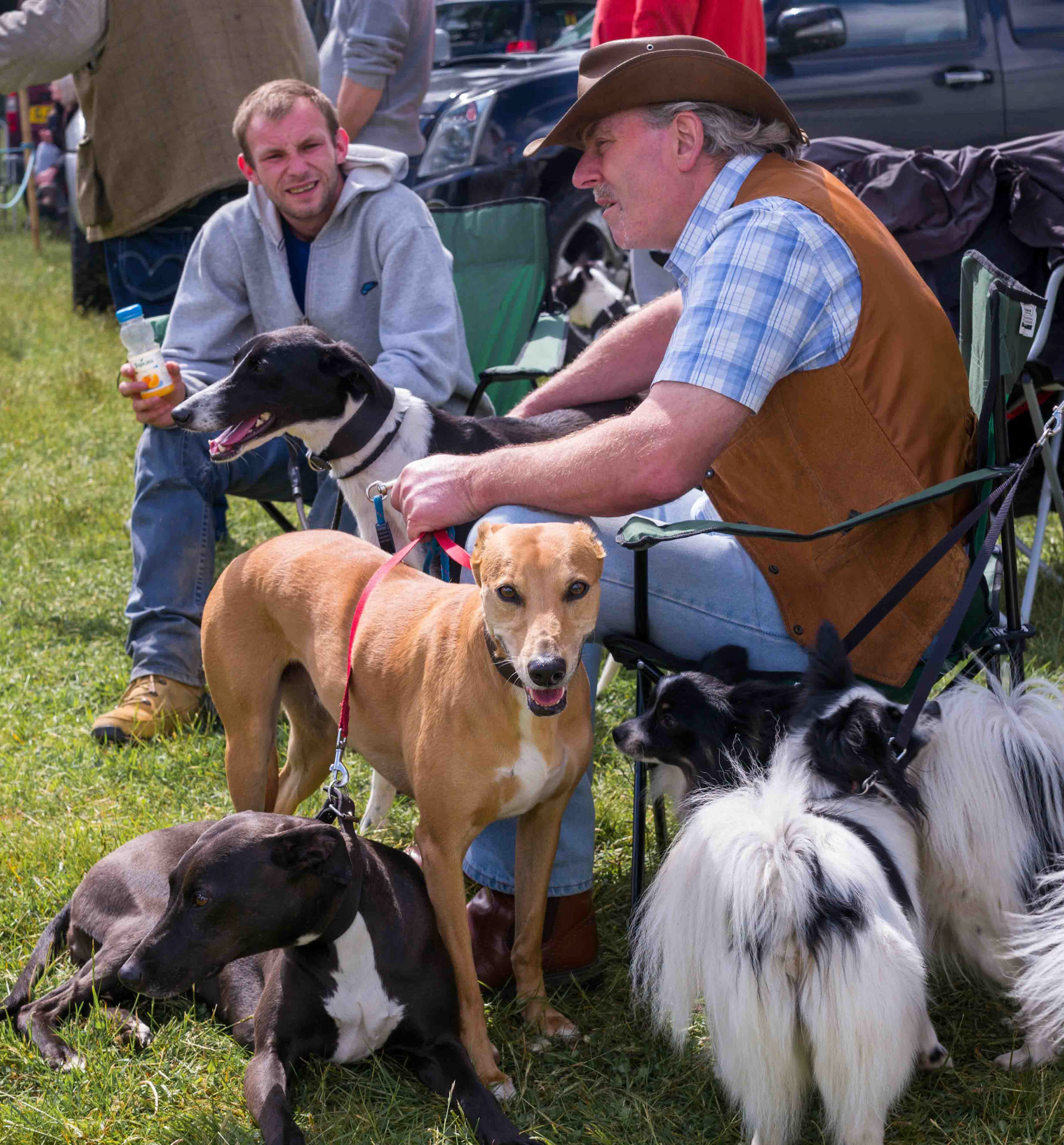 Dog Show Competitors at Pickering Game and Country Fair - Scampston Park North Yorkshire UK