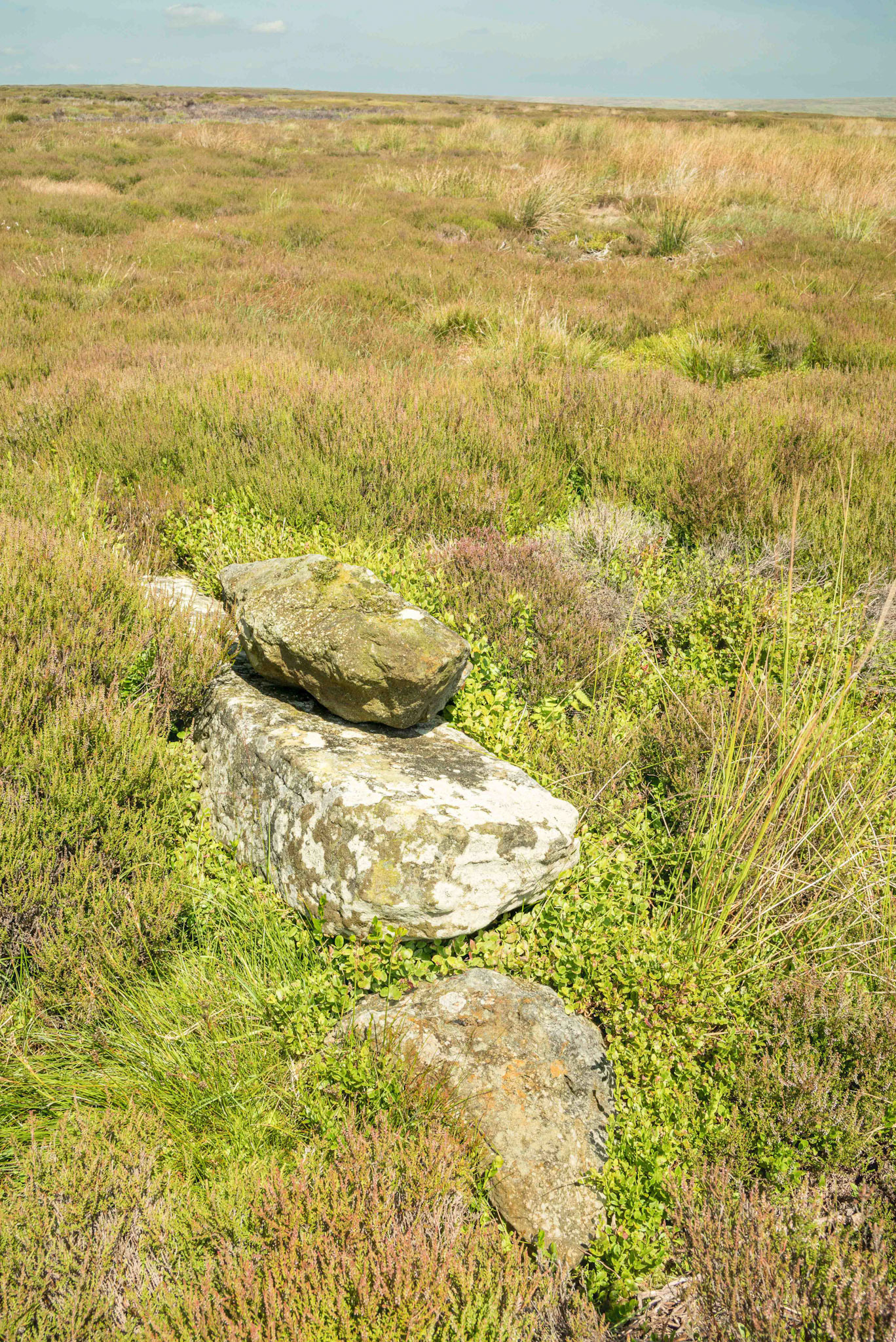 Hole Stoop on Blakey Ridge Looking North East - North York Moors UK 2024