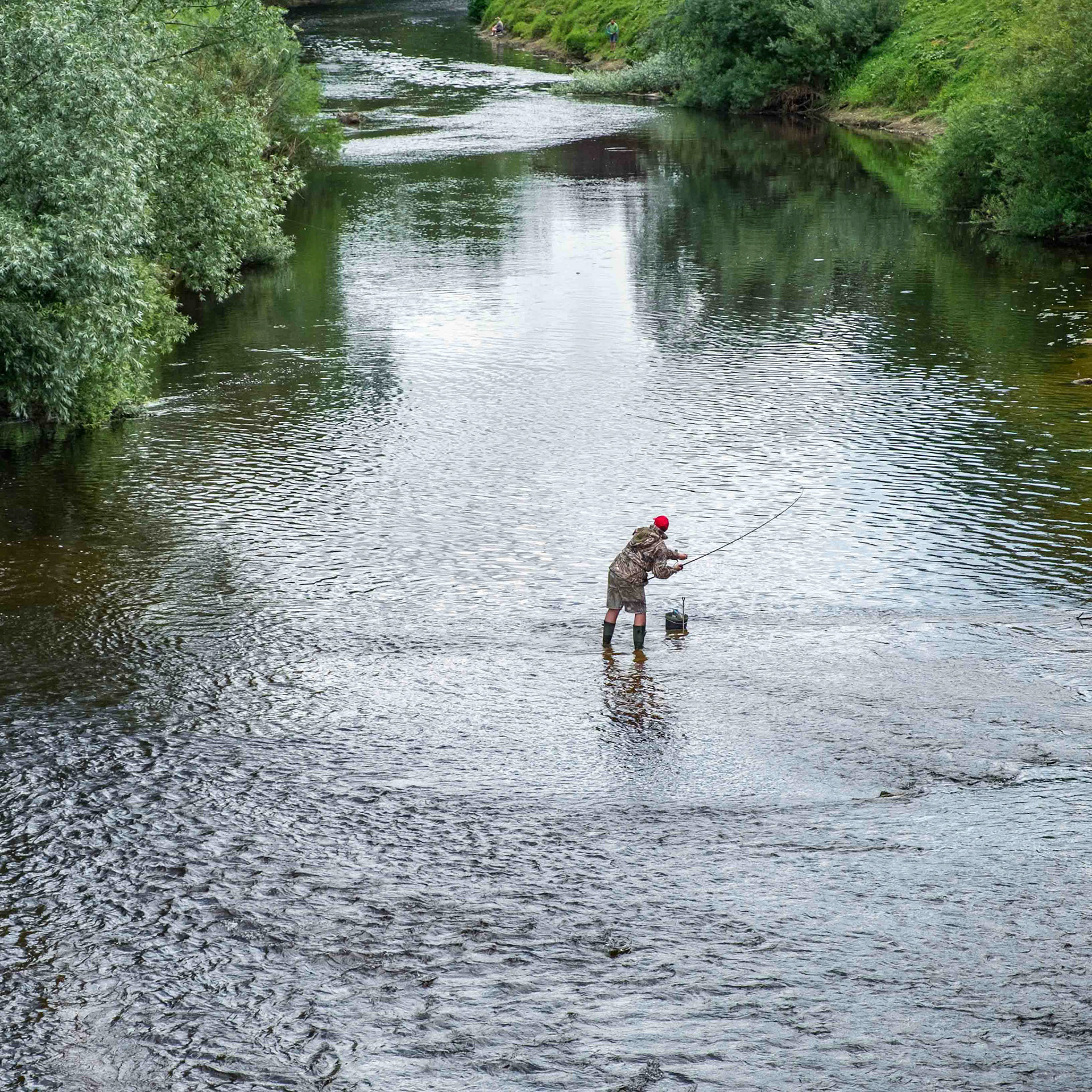 Fishing the Wharfe - Tadcaster UK