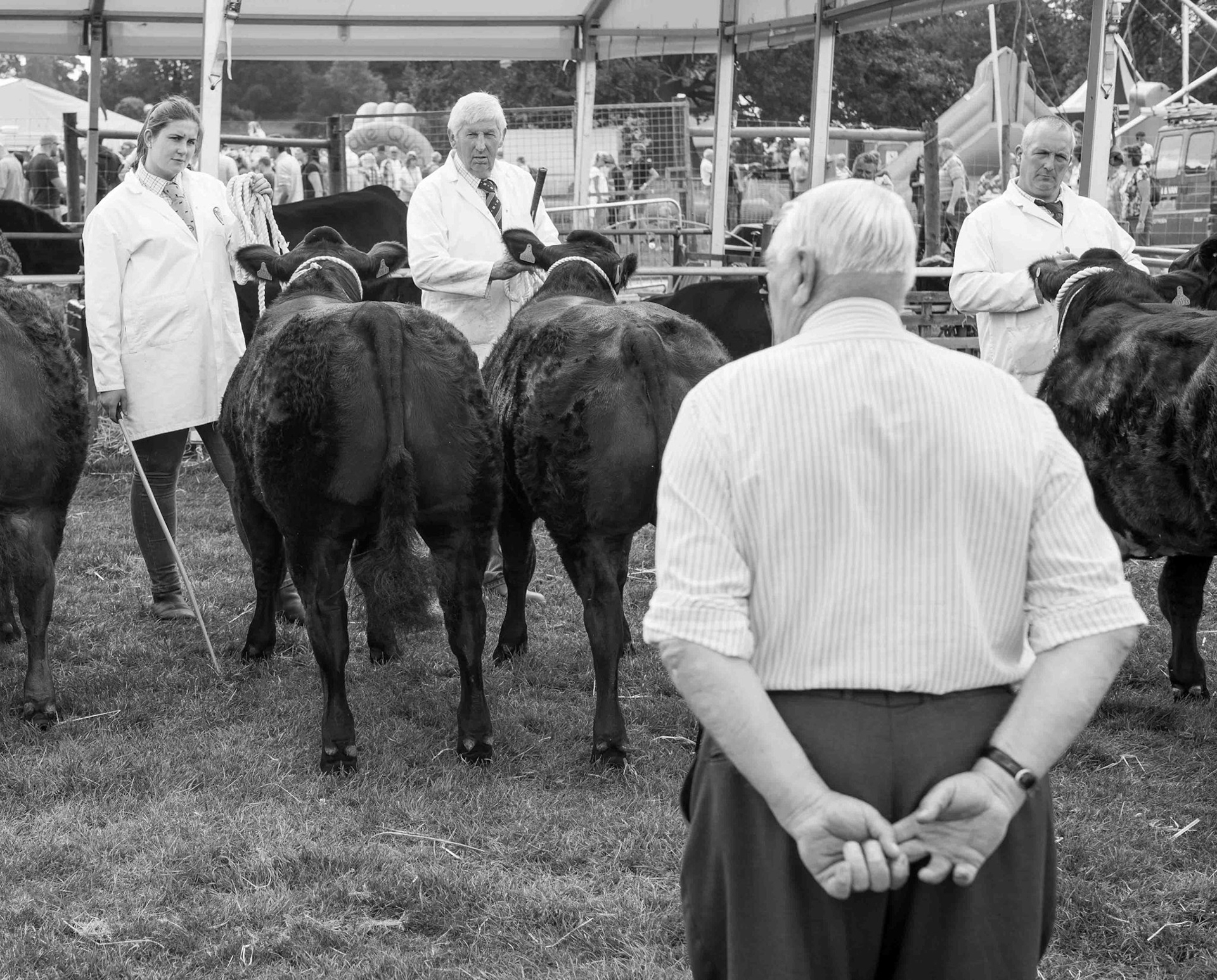 Judging at Ripley Country Show -  North Yorkshire UK