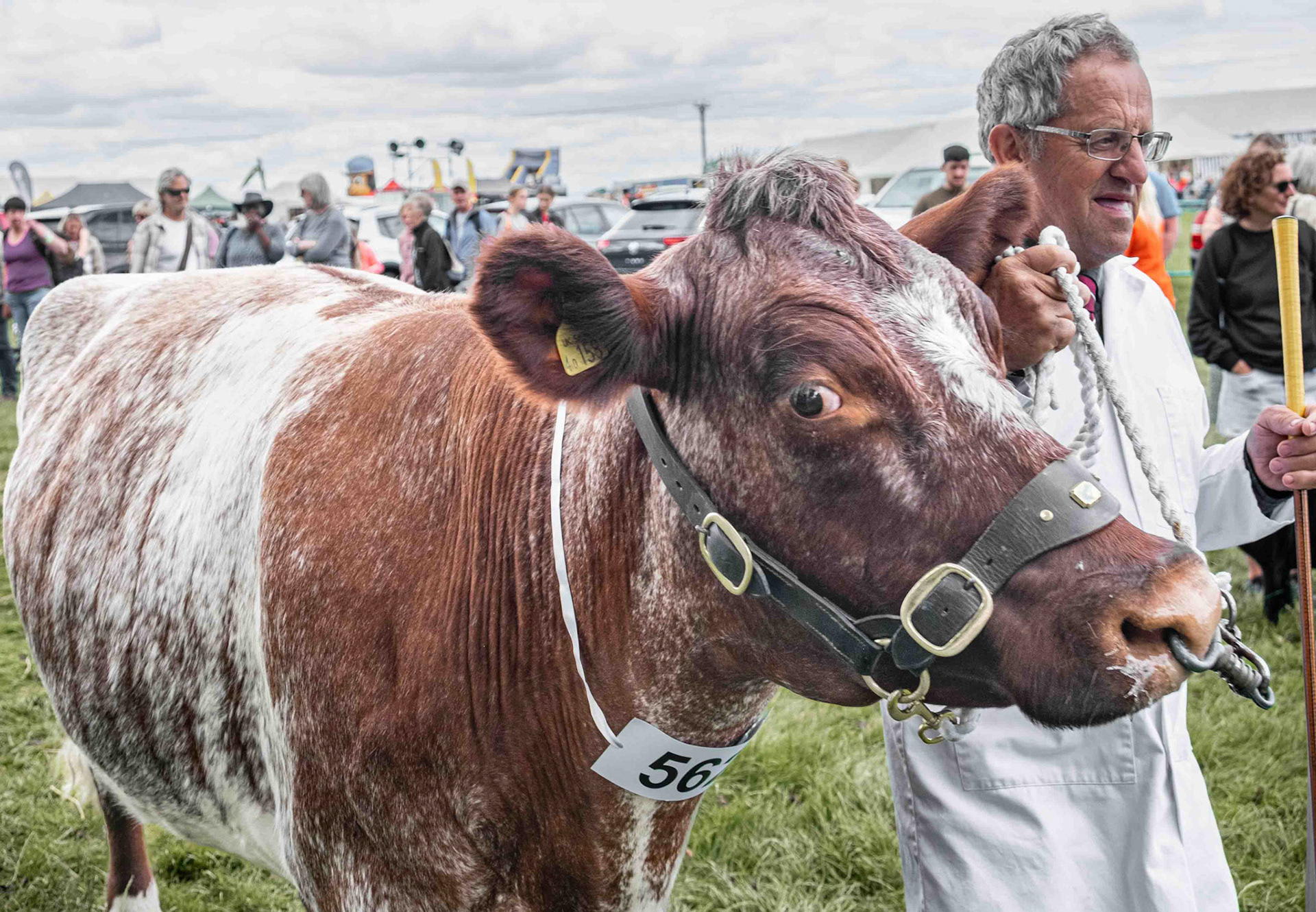Entrant - North Yorkshire Country Show UK