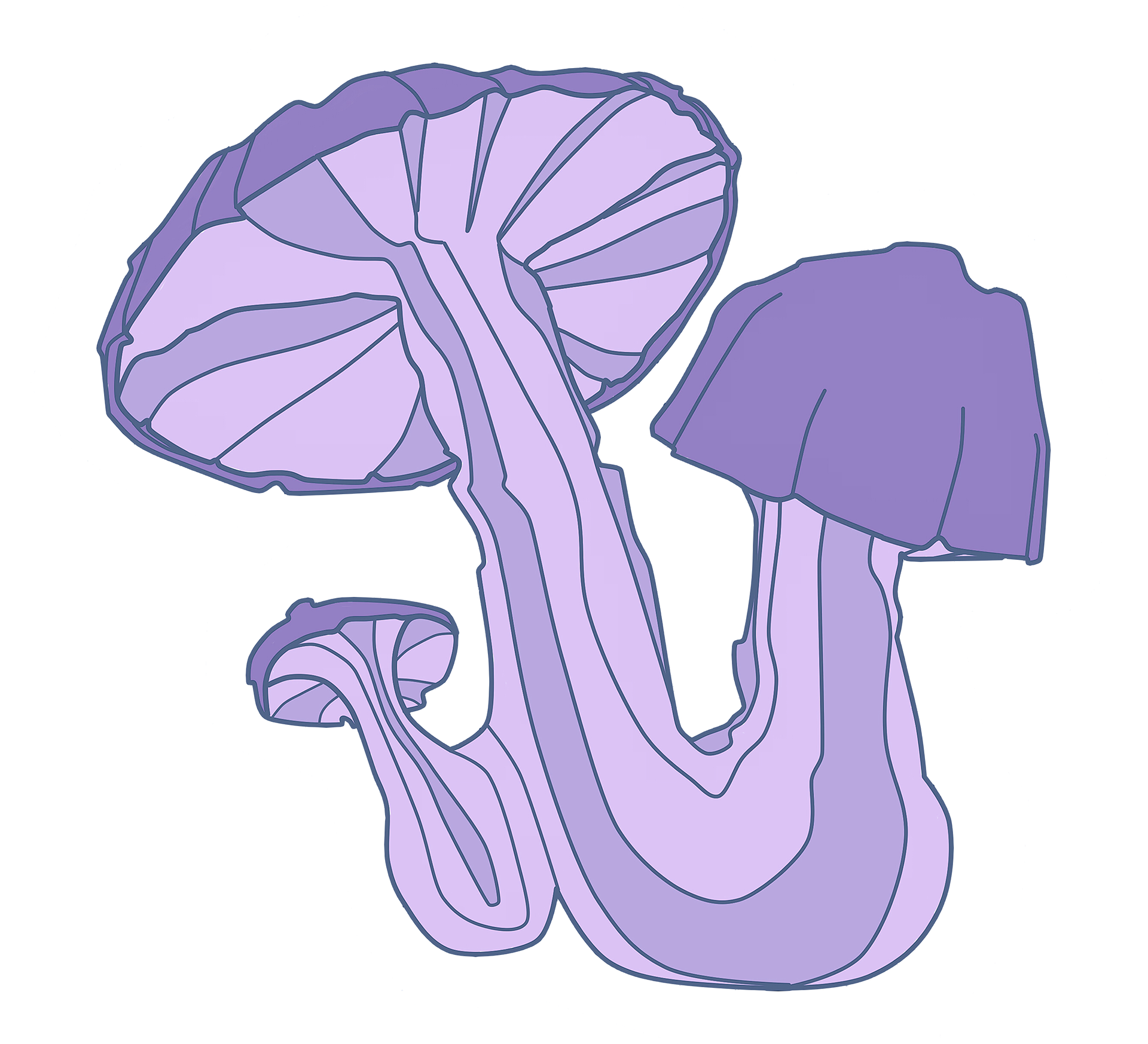 fungi