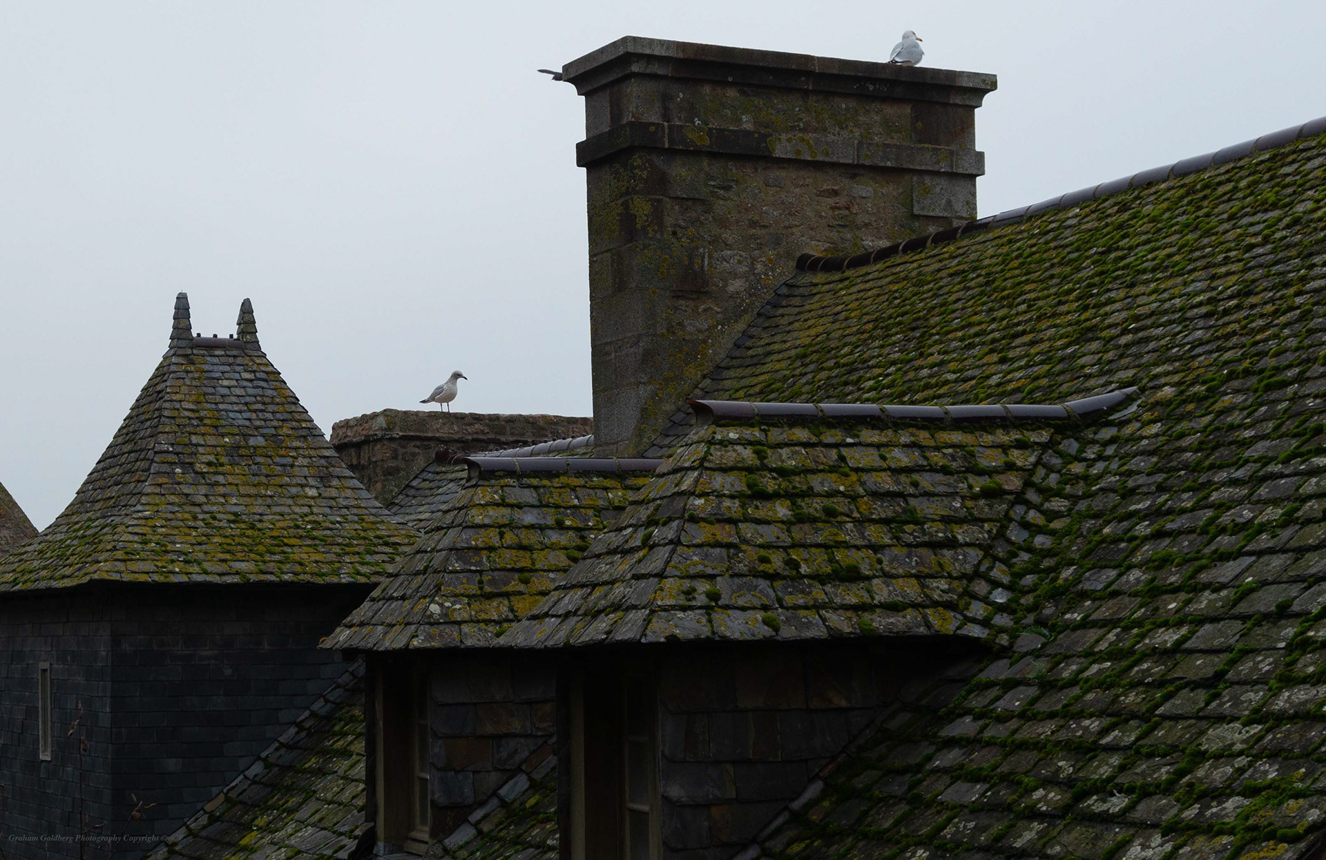 Mossy Roofs