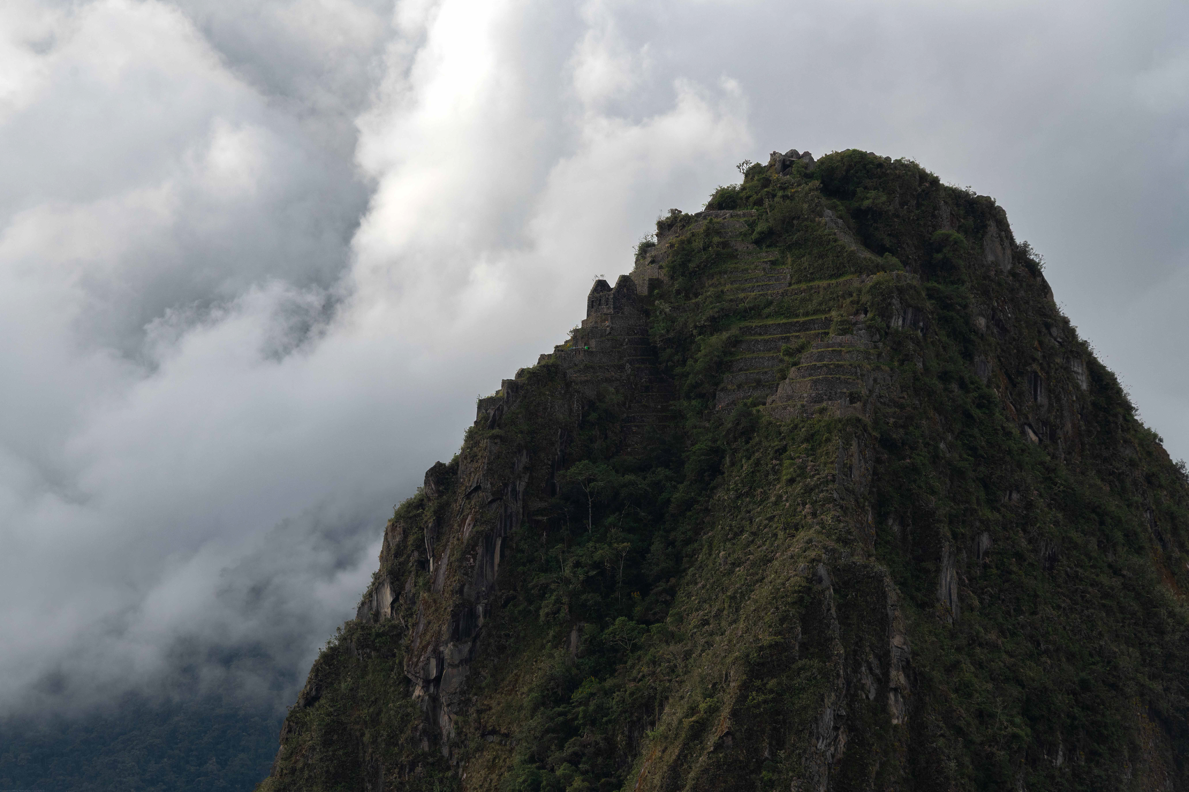 Top of Machu Picchu