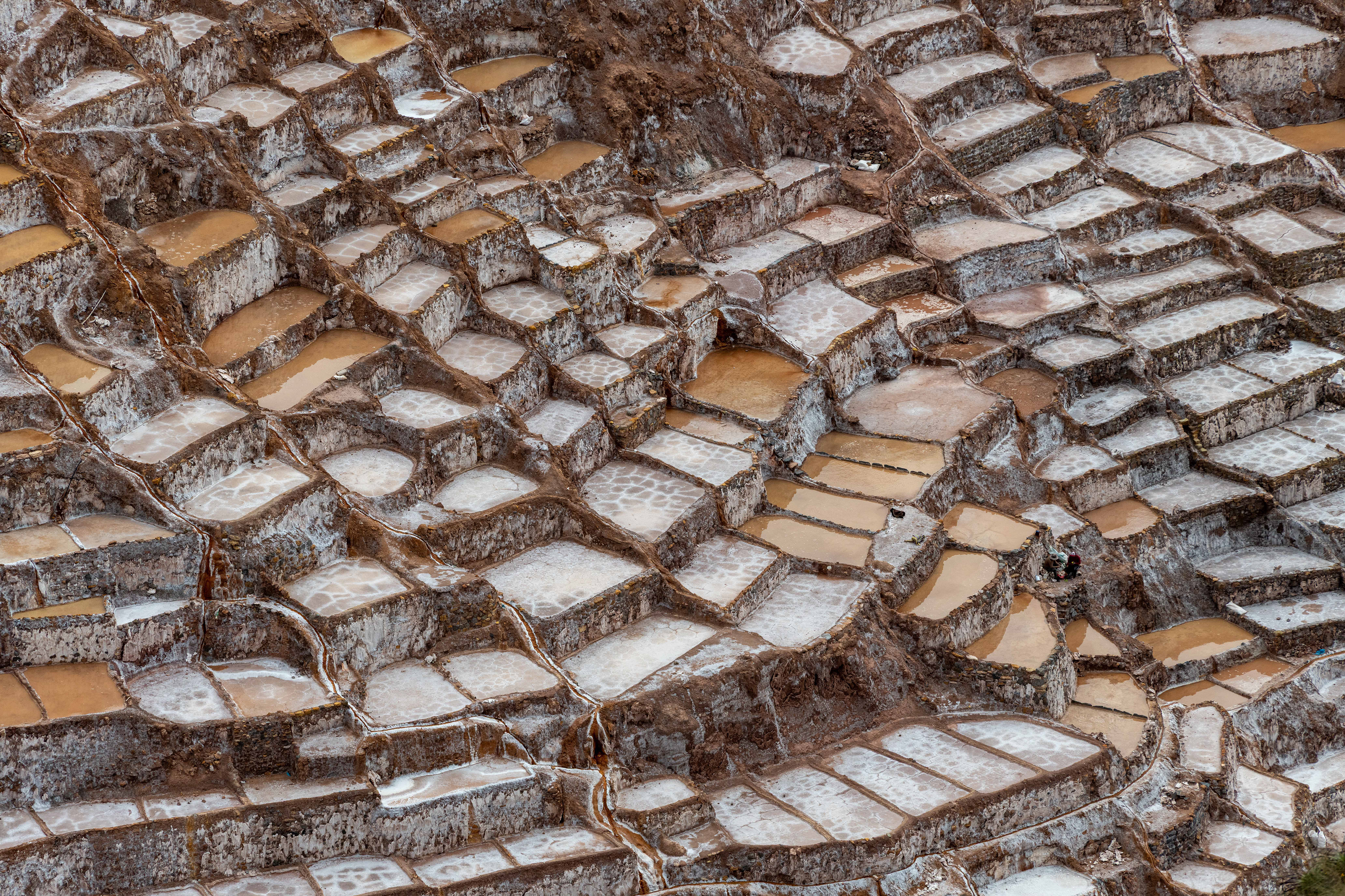 Salt Squares 4