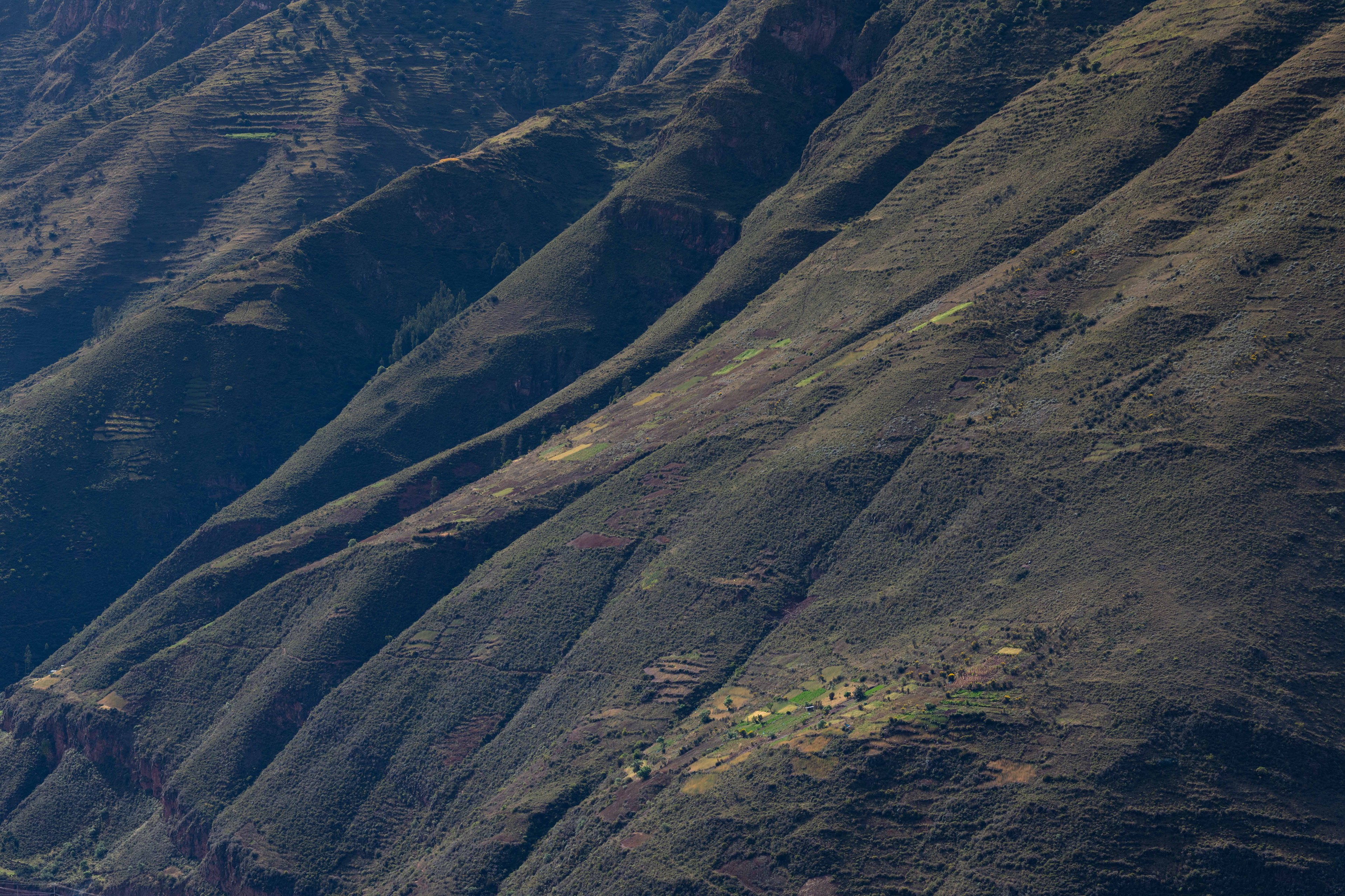 Farm on a Cliff