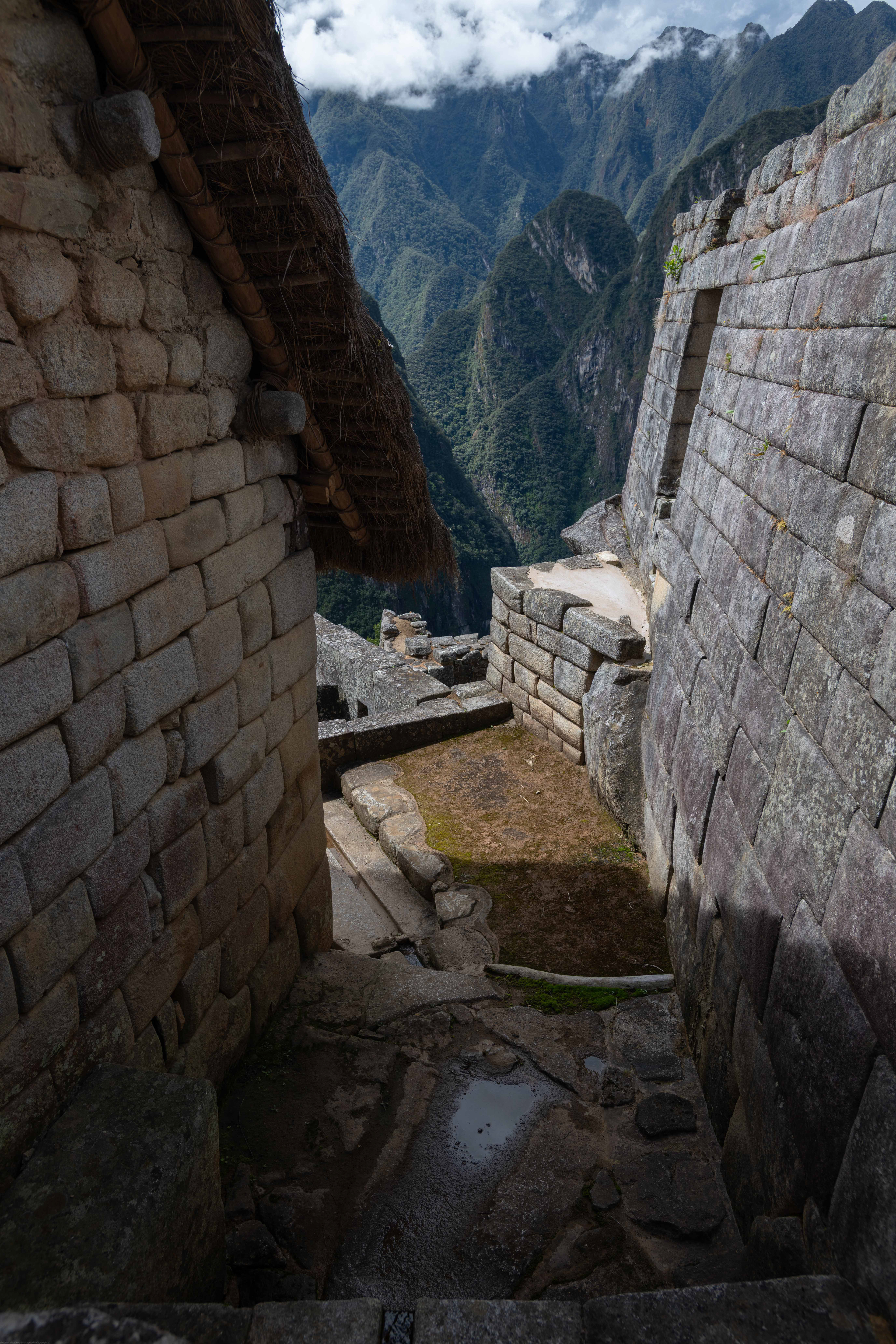Looking Down