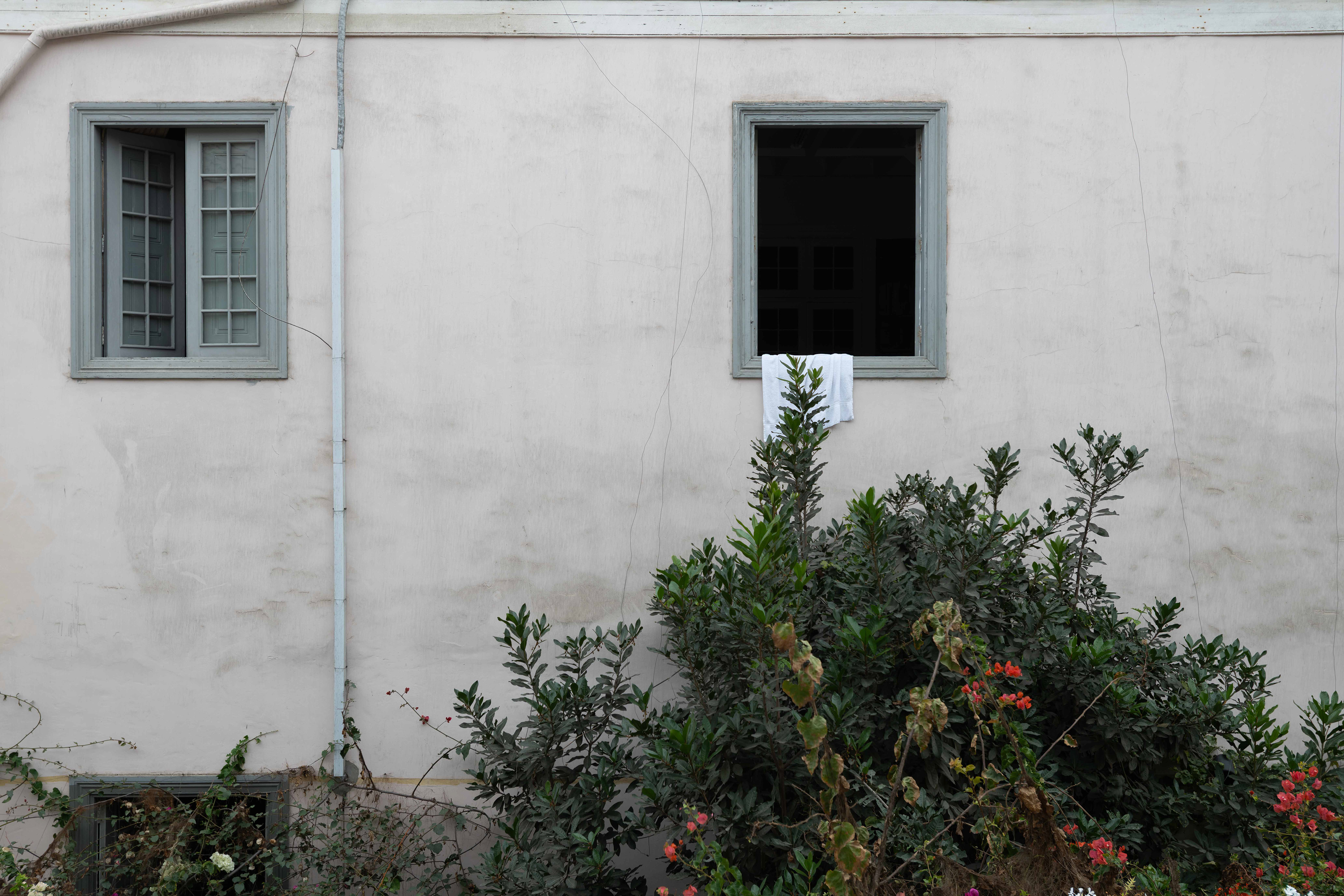Window