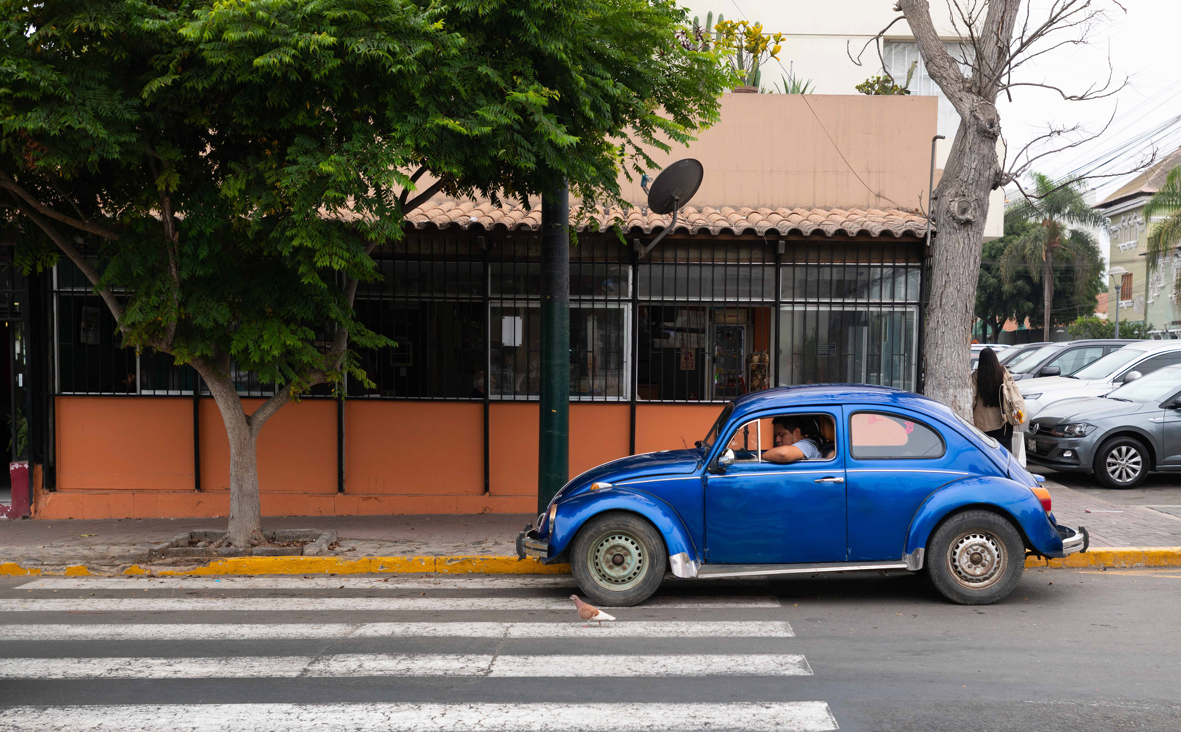 Blue Bug