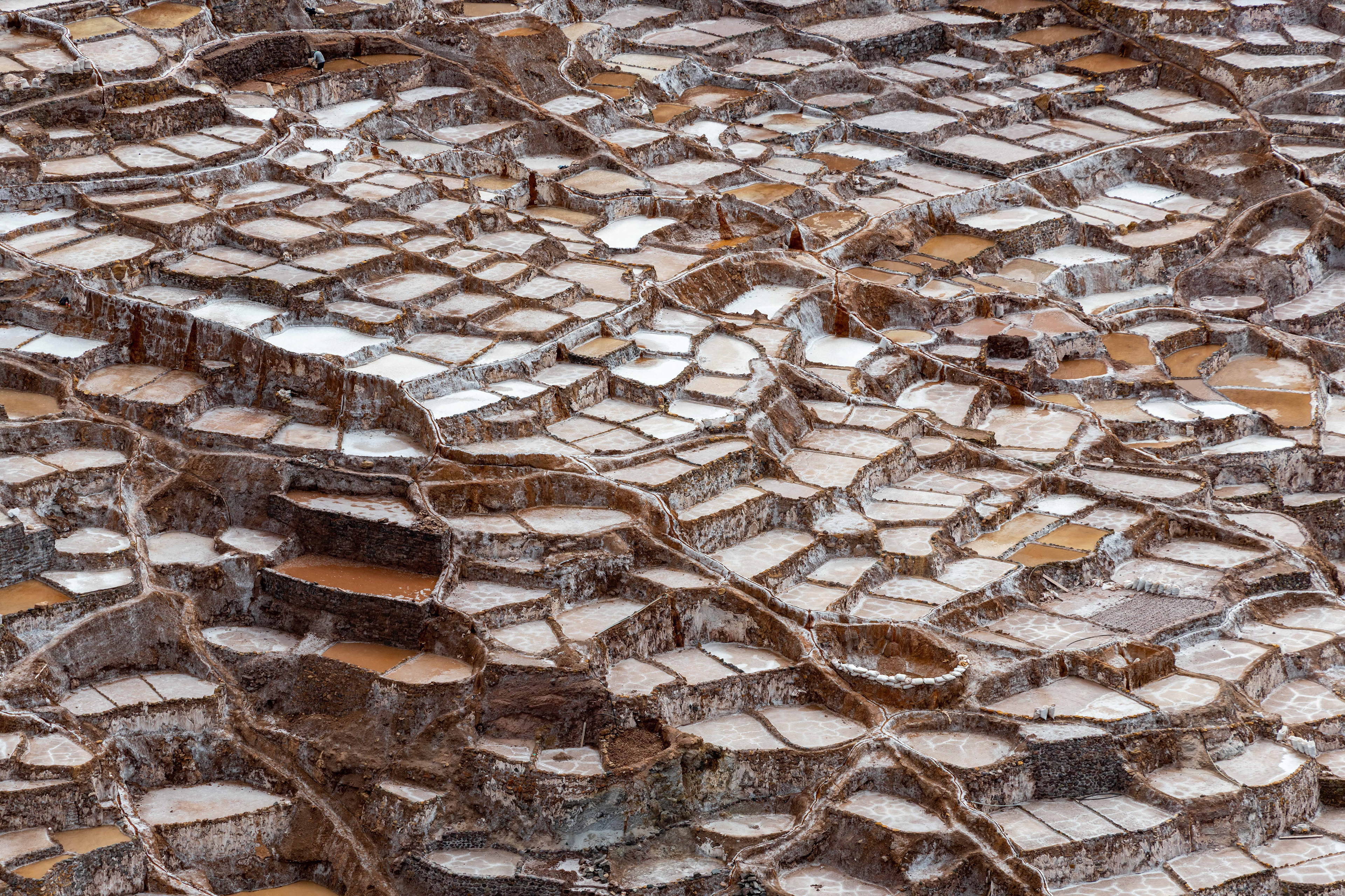 Salt Squares