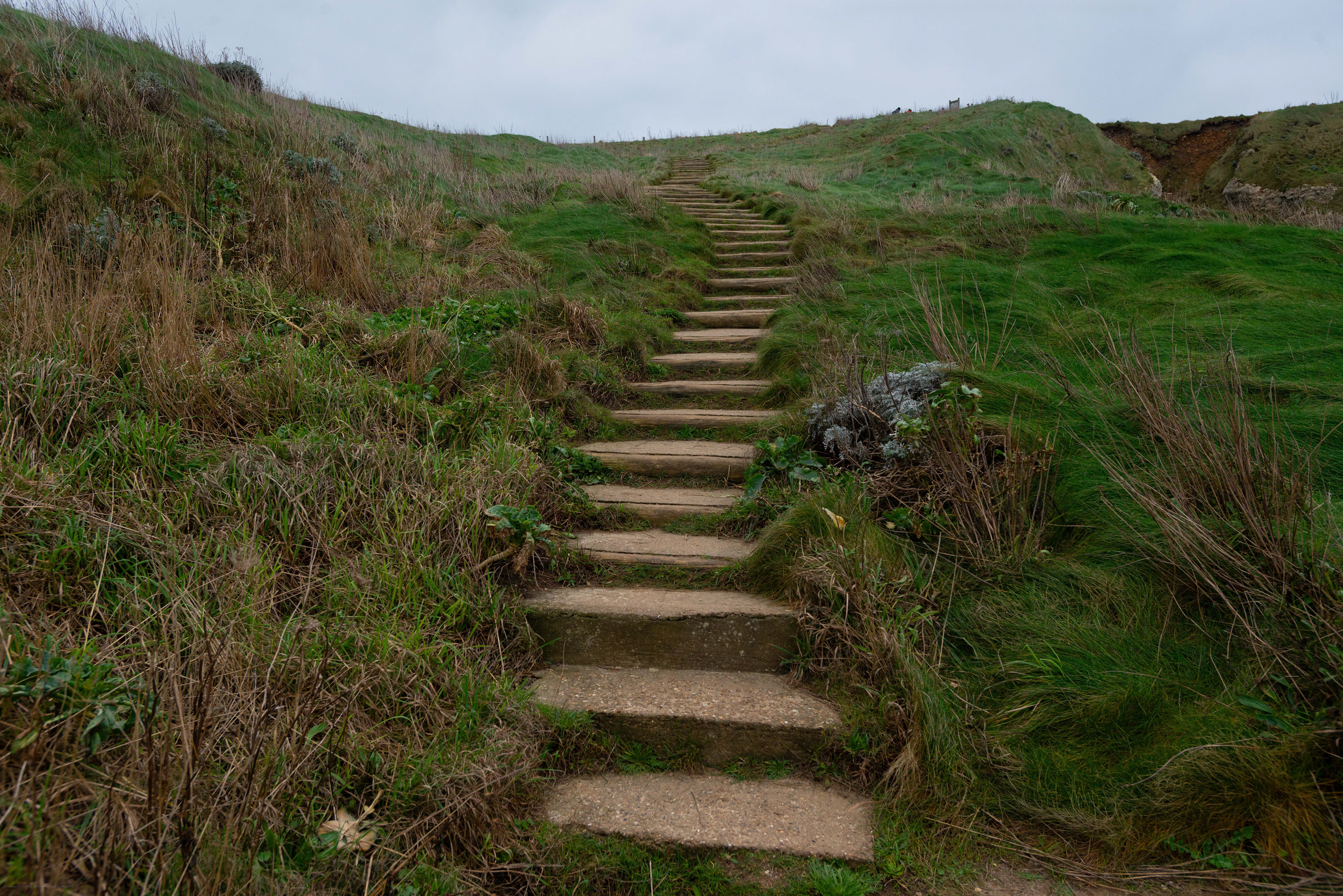 Path at Etretat