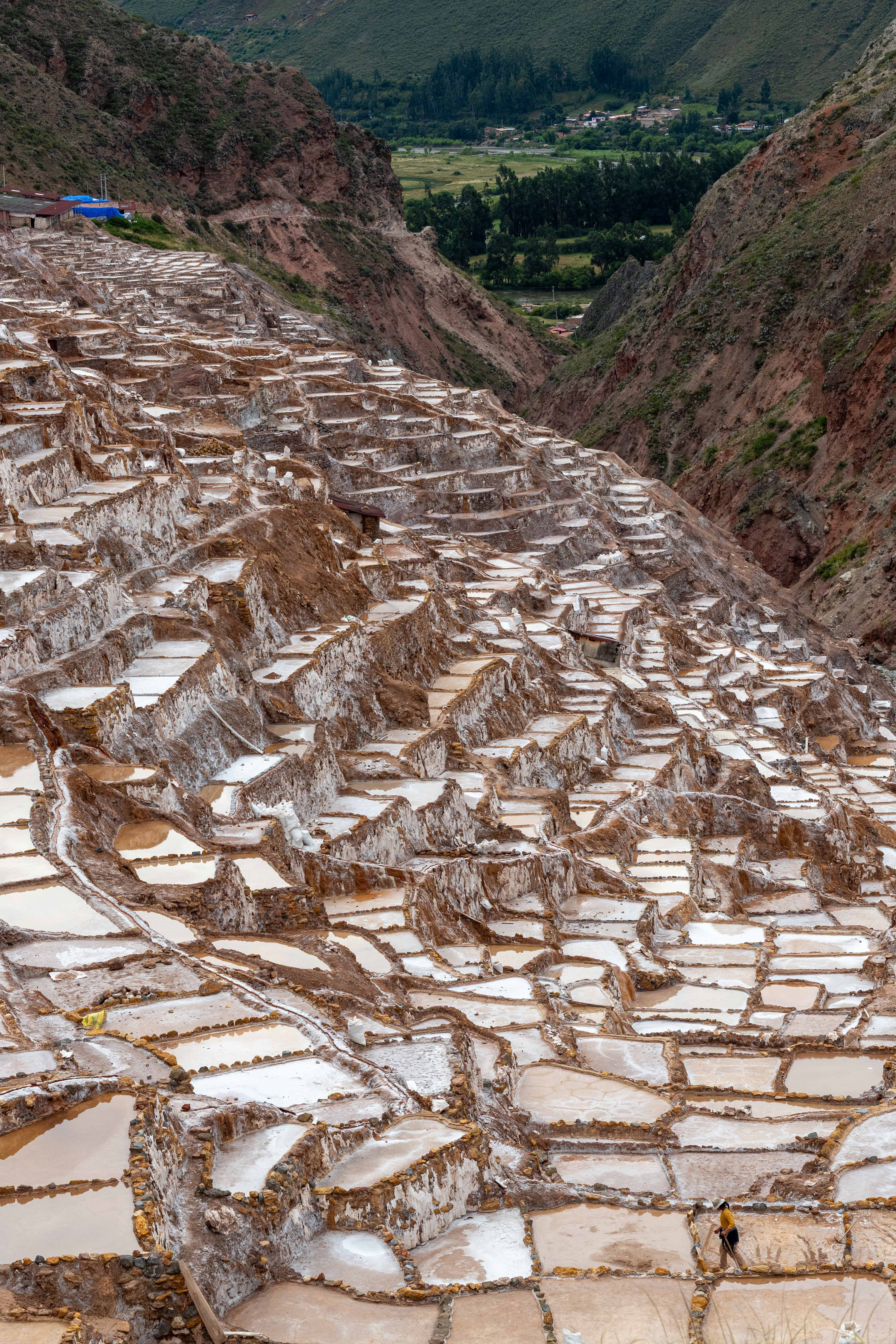 Salt Farm Woker