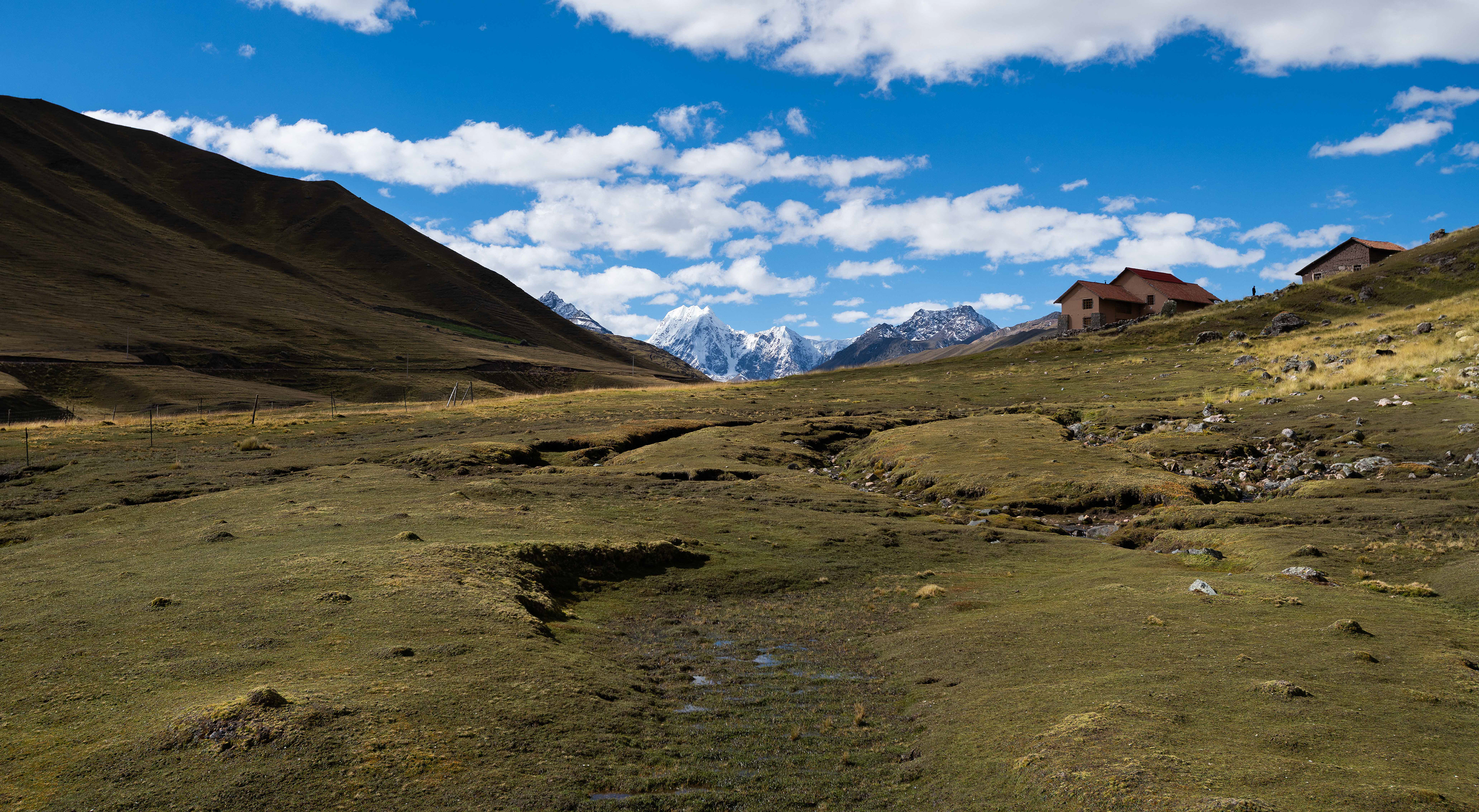 Grasslands