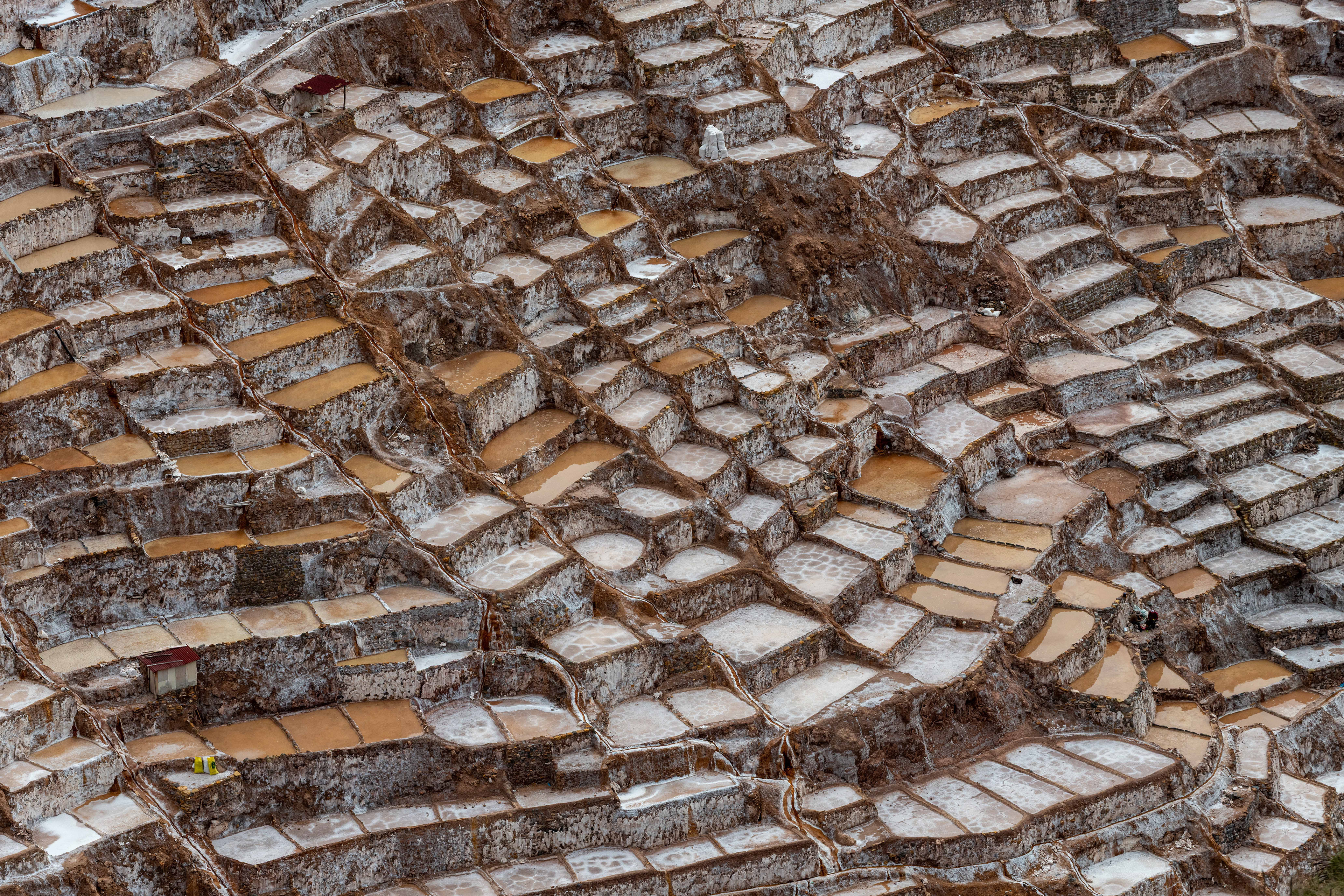 Salt Squares 3