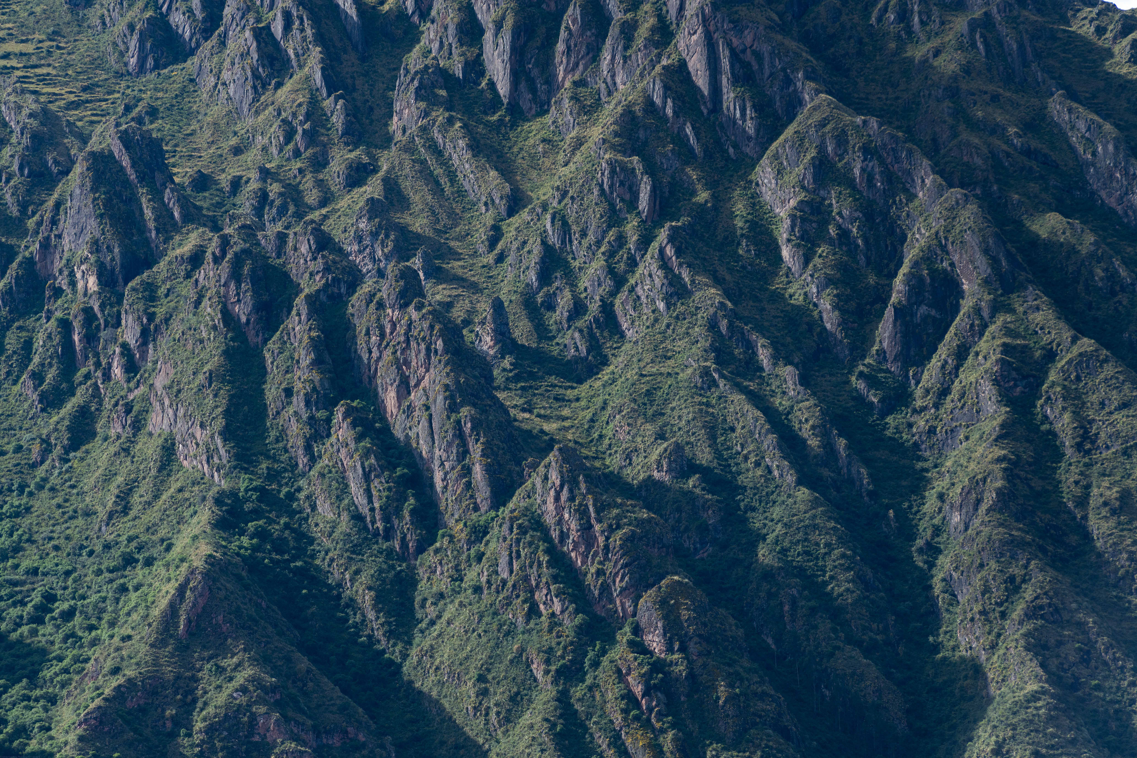 Jagged 3